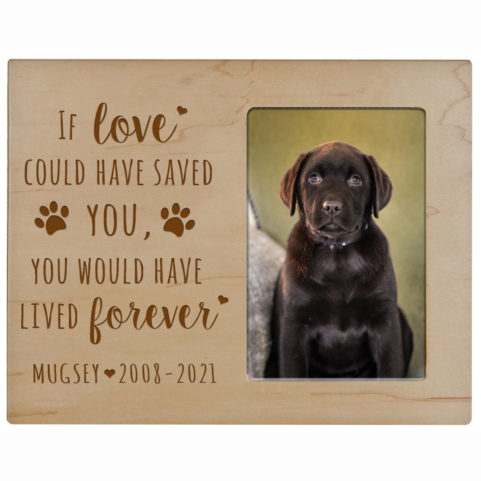 Pet Memorial Picture Frame - If Love Could Have Saved You - LifeSong Milestones