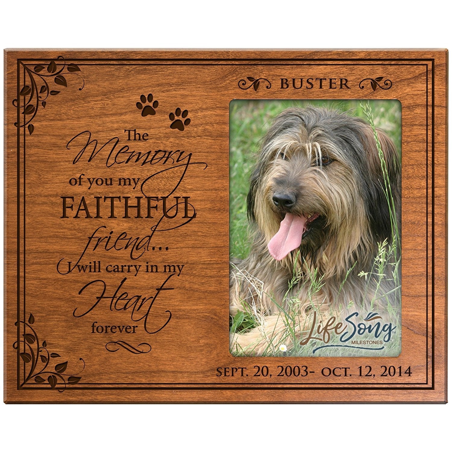 Pet Memorial Picture Frame - The Memory Of You - LifeSong Milestones