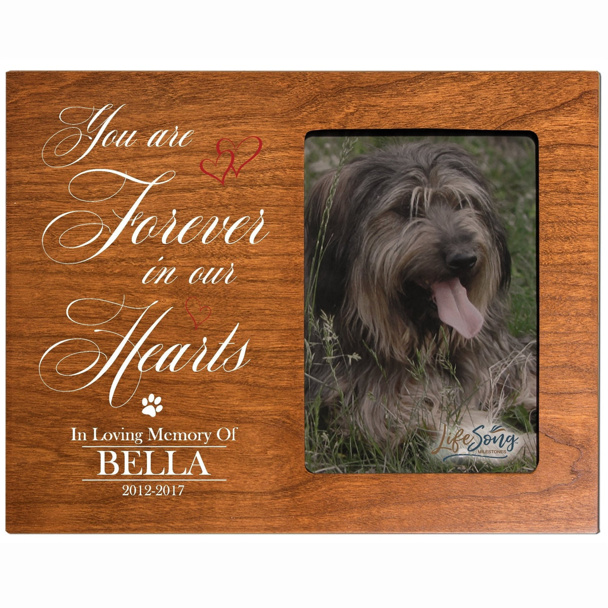 Pet Memorial Picture Frame - You Are Forever In Our Hearts - LifeSong Milestones