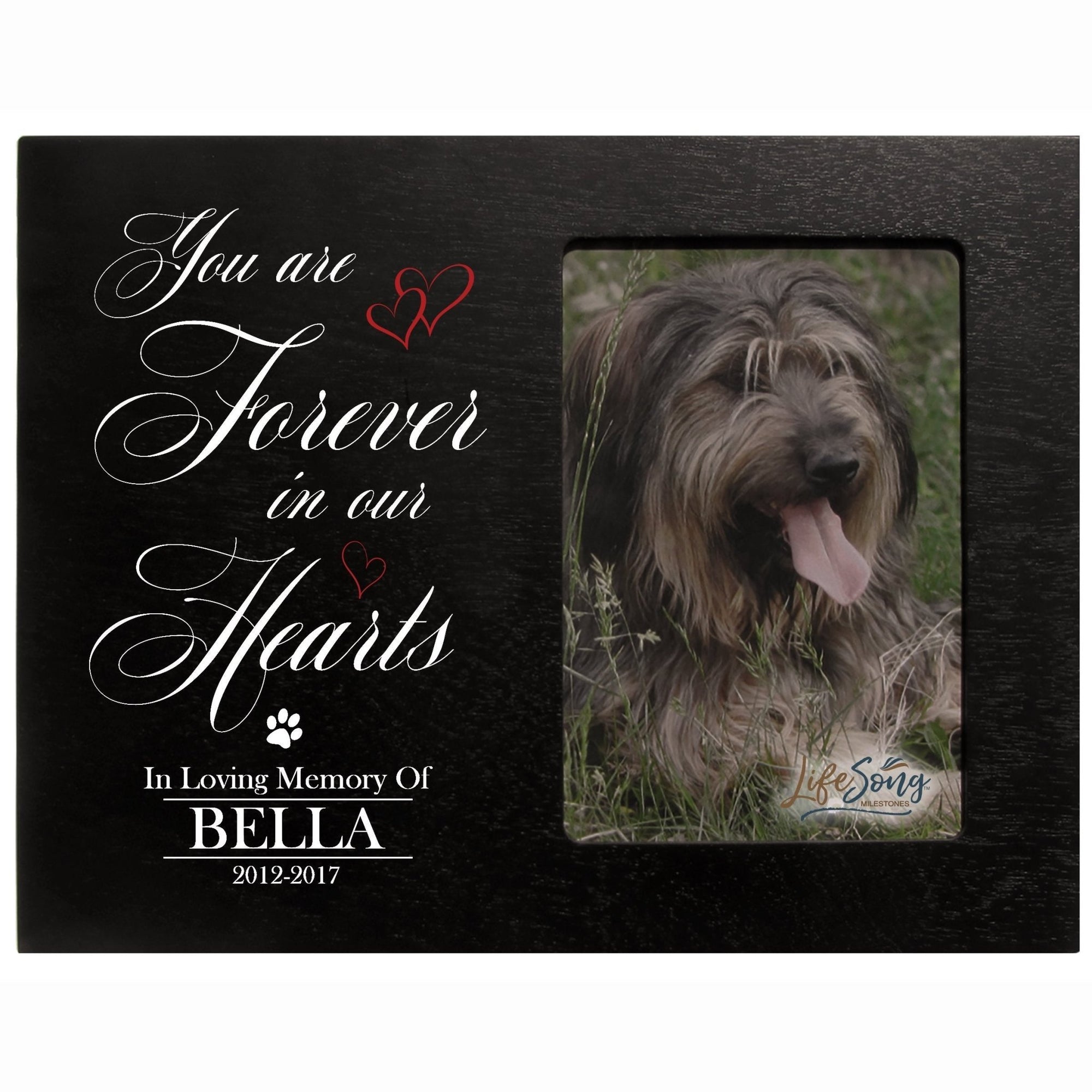 Pet Memorial Picture Frame - You Are Forever In Our Hearts - LifeSong Milestones