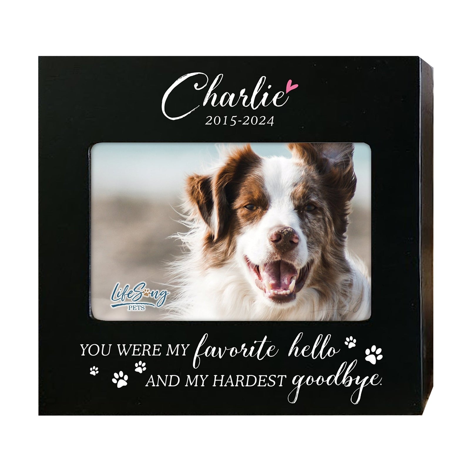 Photo Keepsake Pet Urn with Custom Design – Memorial for Dogs or Cats - You Were My Favorite - LifeSong Milestones
