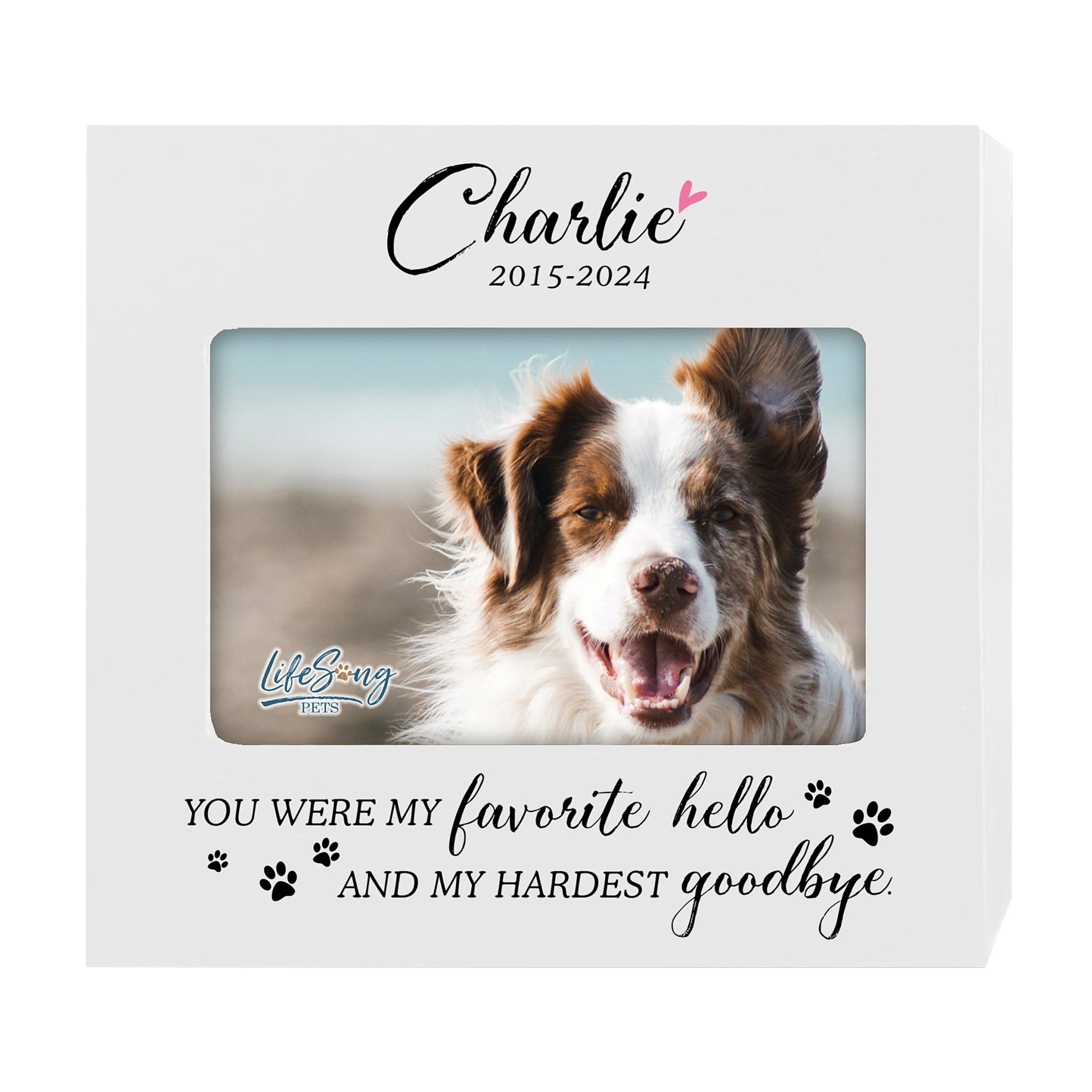 Photo Keepsake Pet Urn with Custom Design – Memorial for Dogs or Cats - You Were My Favorite - LifeSong Milestones