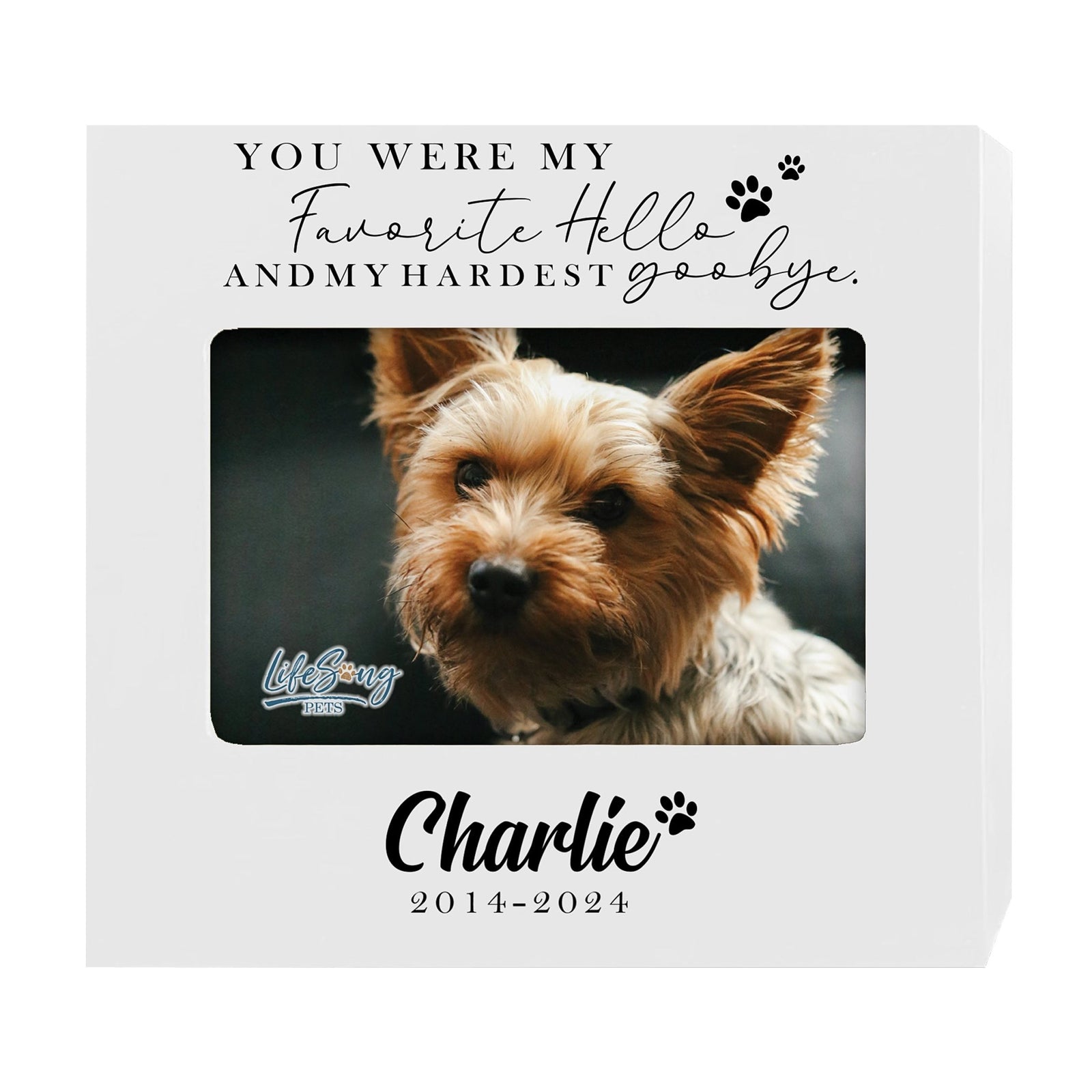 Photo Keepsake Pet Urn with Custom Design – Memorial for Dogs or Cats - You Were My Favorite - LifeSong Milestones