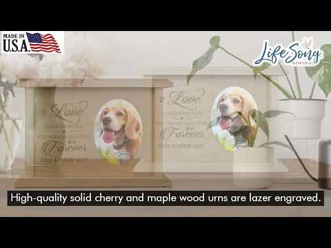 Pet Memorial Picture Cremation Urn Box for Dog or Cat - If Love Could Have Saved You