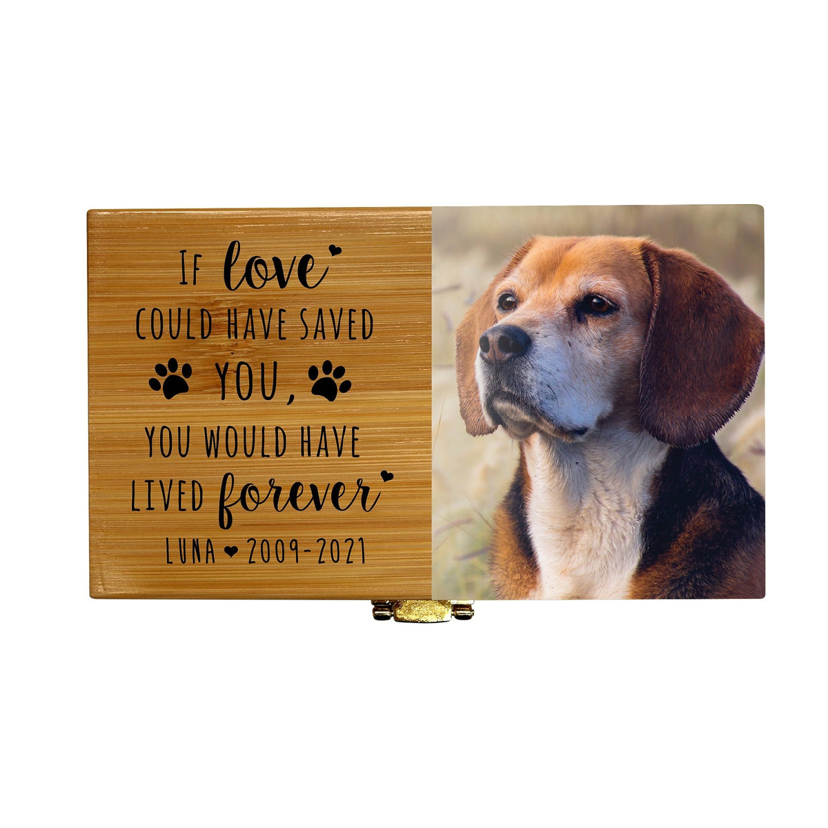 Sustainable Bamboo Cremation Urn for Pet Ashes – Biodegradable Memorial Keepsake - If Love Could - LifeSong Milestones