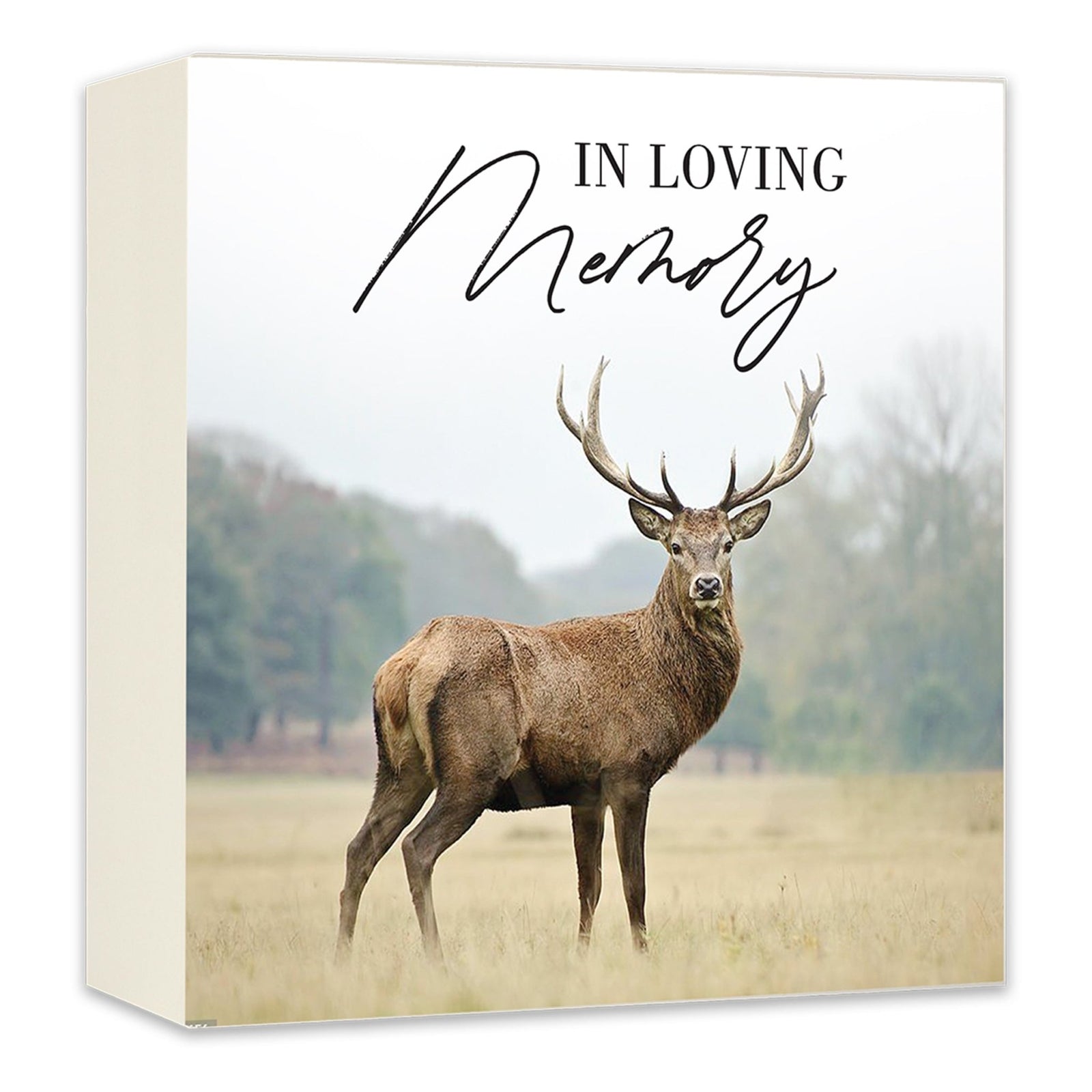 Wooden Cremation Urn Box – In Loving Memory Memorial Display for Human Ashes - LifeSong Milestones