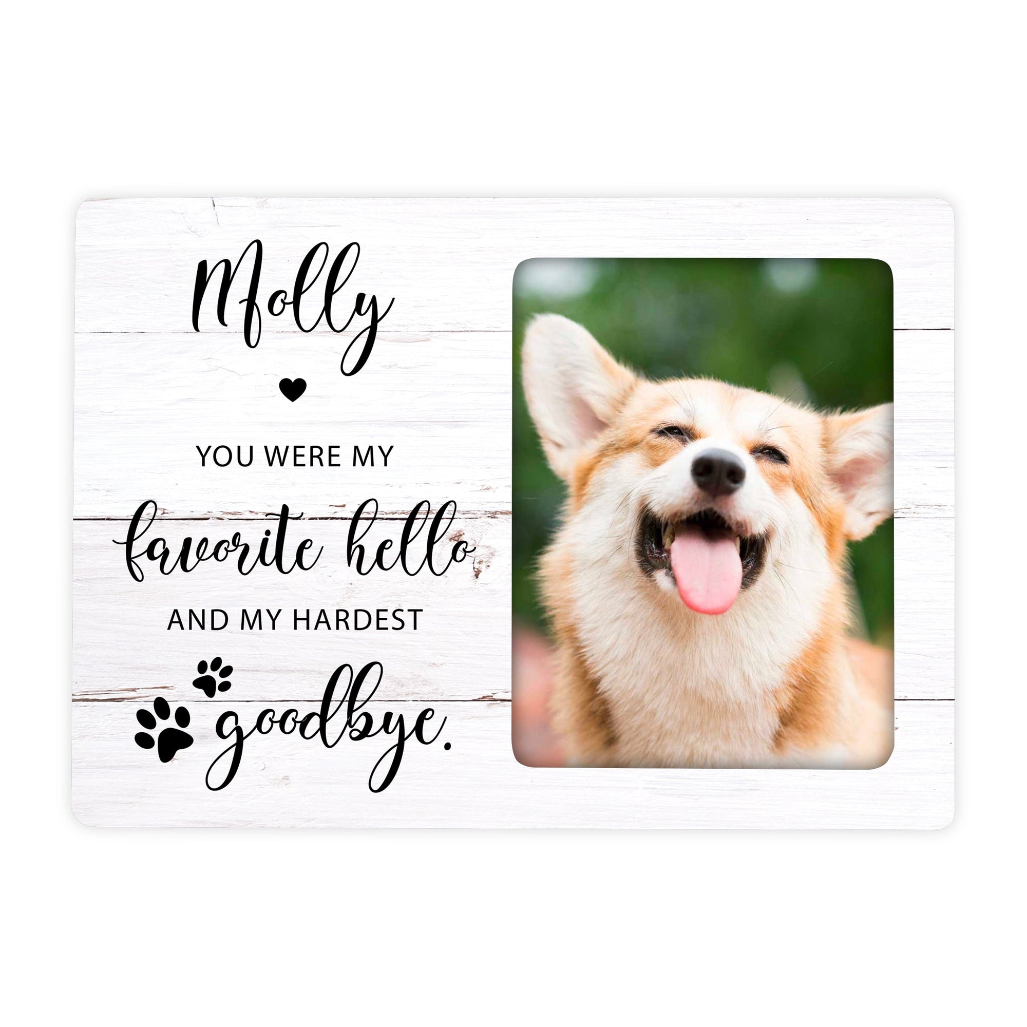 Pet Memorial Magnet Picture Frame - You Were My Favorite Hello