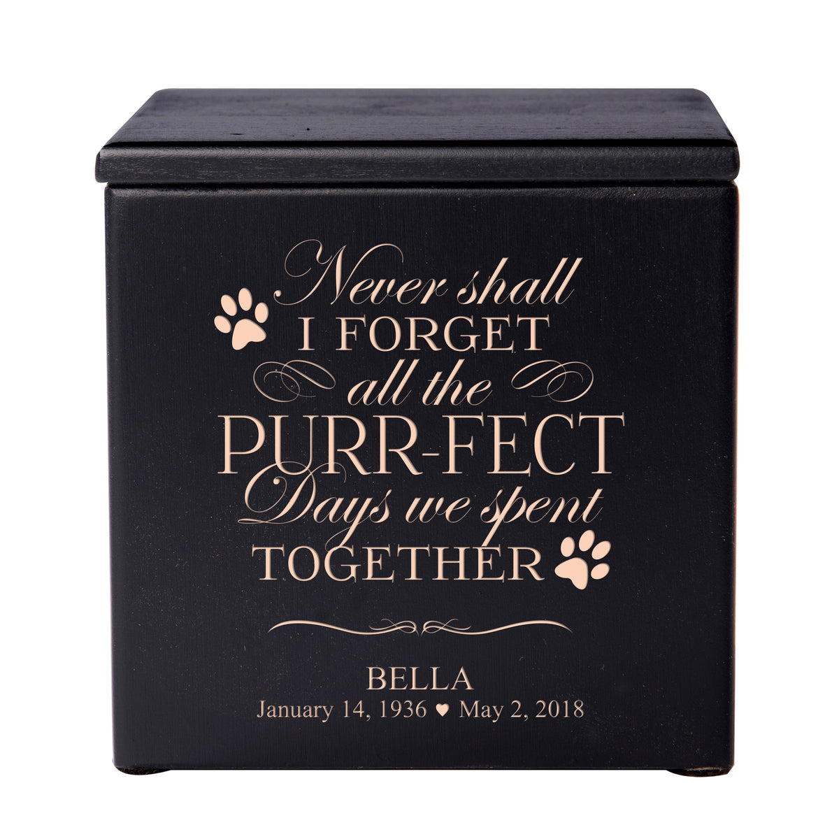 Pet Memorial Keepsake Cremation Urn Box for Cat - Never Shall I Forget