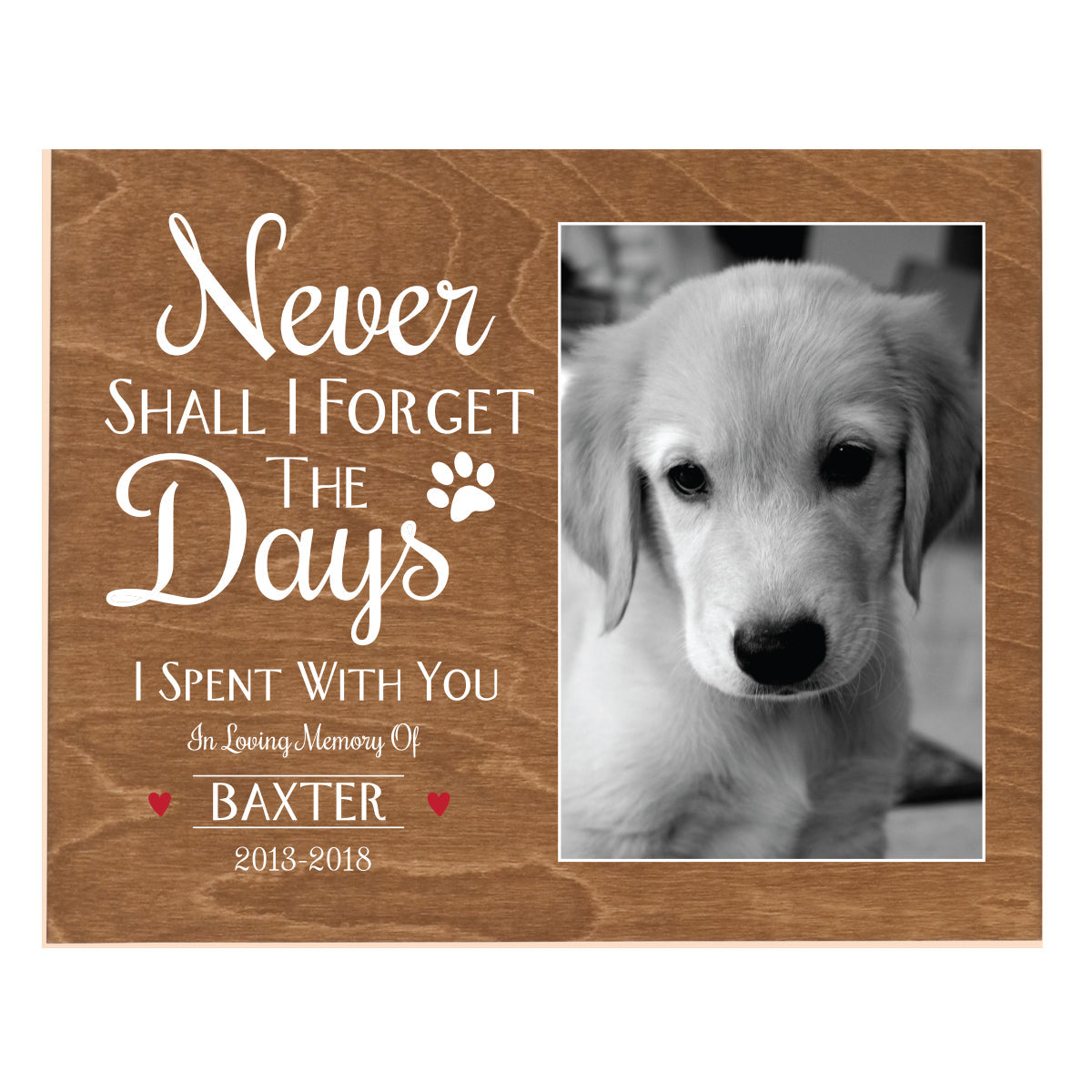 Pet Memorial Photo Wall Plaque Décor - Never Shall I Forget