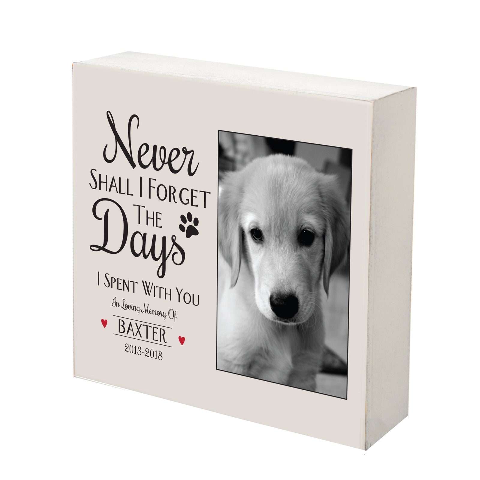 Pet Memorial Shadow Box Décor - Never Shall I Forget
