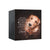Pet Memorial Custom Photo Shadow Box Cremation Urn For Dogs and Cats - A Heart Of Gold