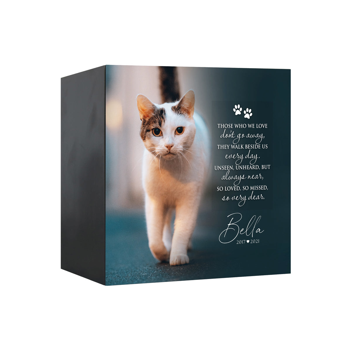 Pet Memorial Custom Photo Shadow Box Cremation Urn - Those Who We Love Don&#39;t Go Away