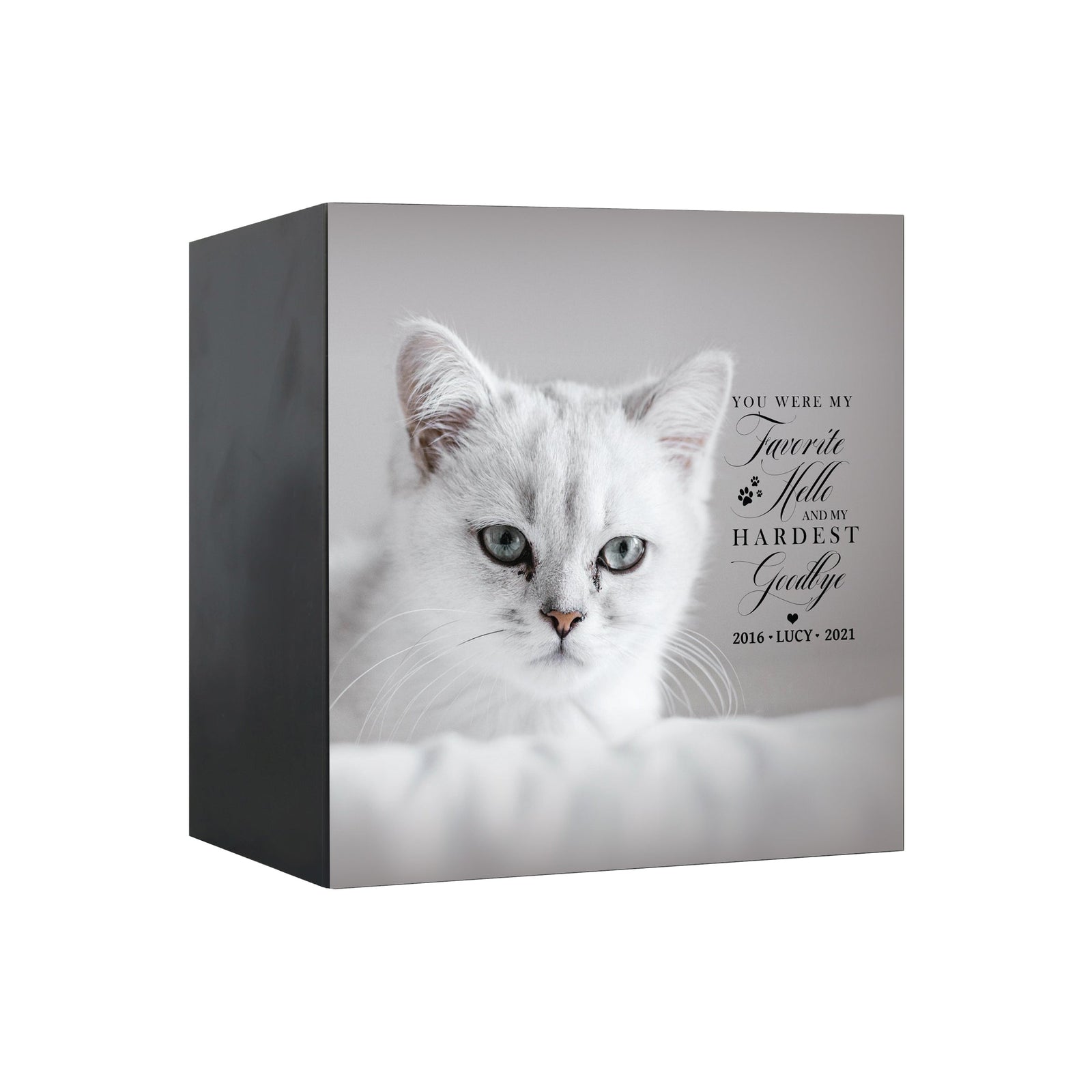 Pet Memorial Custom Photo Shadow Box Cremation Urn - You Were My Favorite Hello