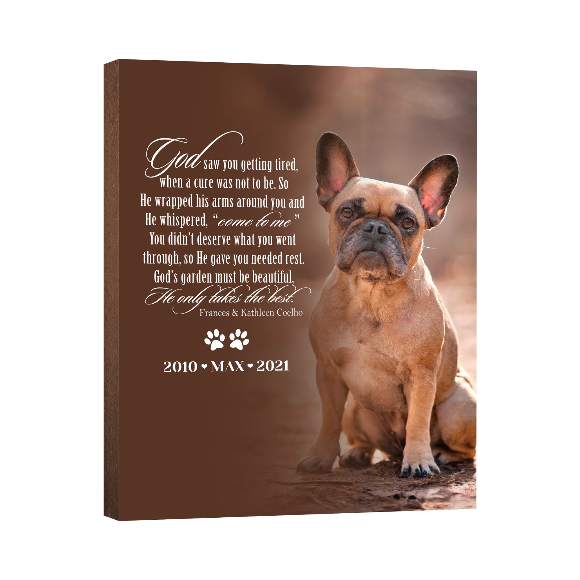 Pet Memorial Custom Photo Wall Plaque Décor - God Saw You Getting Tired