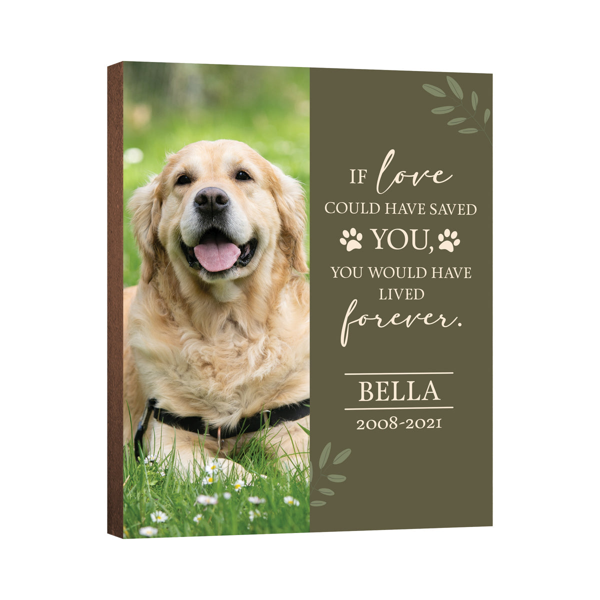 Pet Memorial Custom Photo Wall Plaque Décor - If Love Could Have Saved You