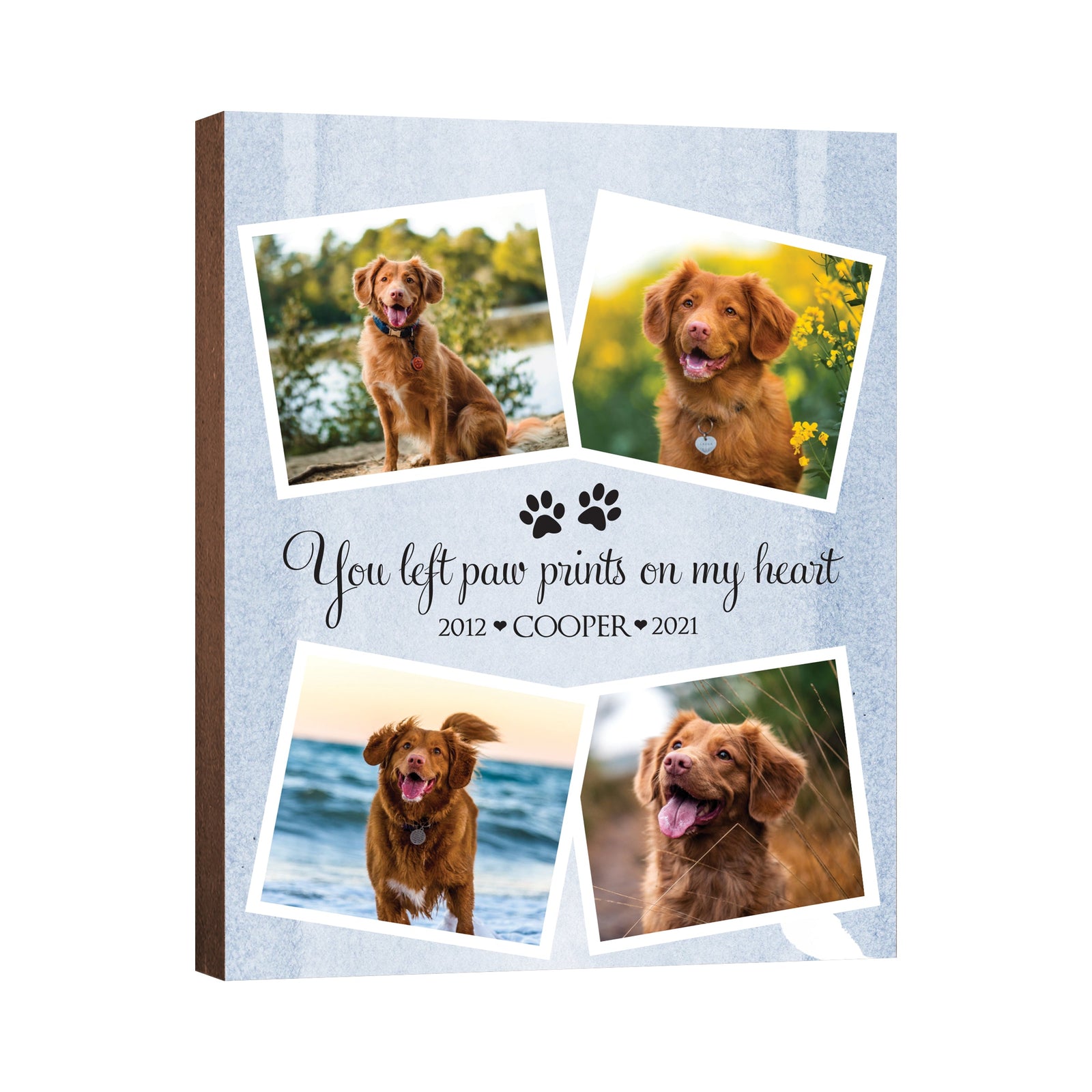Pet Memorial Custom Photo Wall Plaque Décor - You Left Paw Prints On My Heart