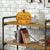 Pumpkin shelf decor Decorative Home Décor - Count Your Blessings
