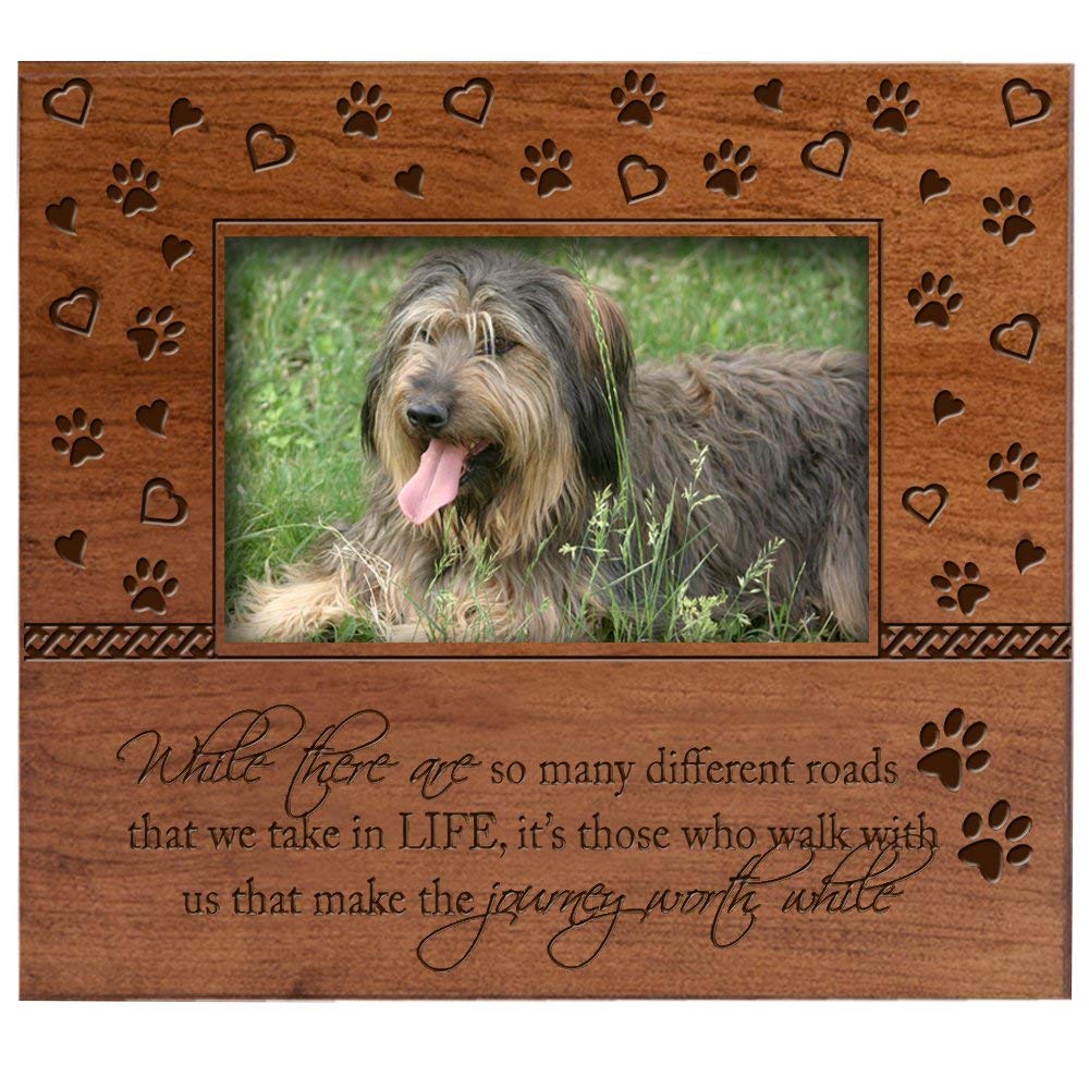 Pet Memorial Picture Frame - While There Are So Many Different Roads