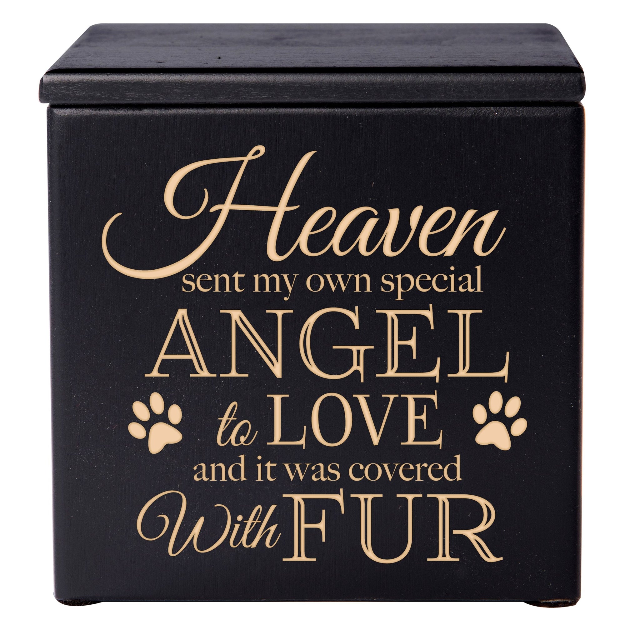 Black Pet Memorial 3.5x3.5 Keepsake Urn with phrase "Heaven Sent My Own Special Angel"