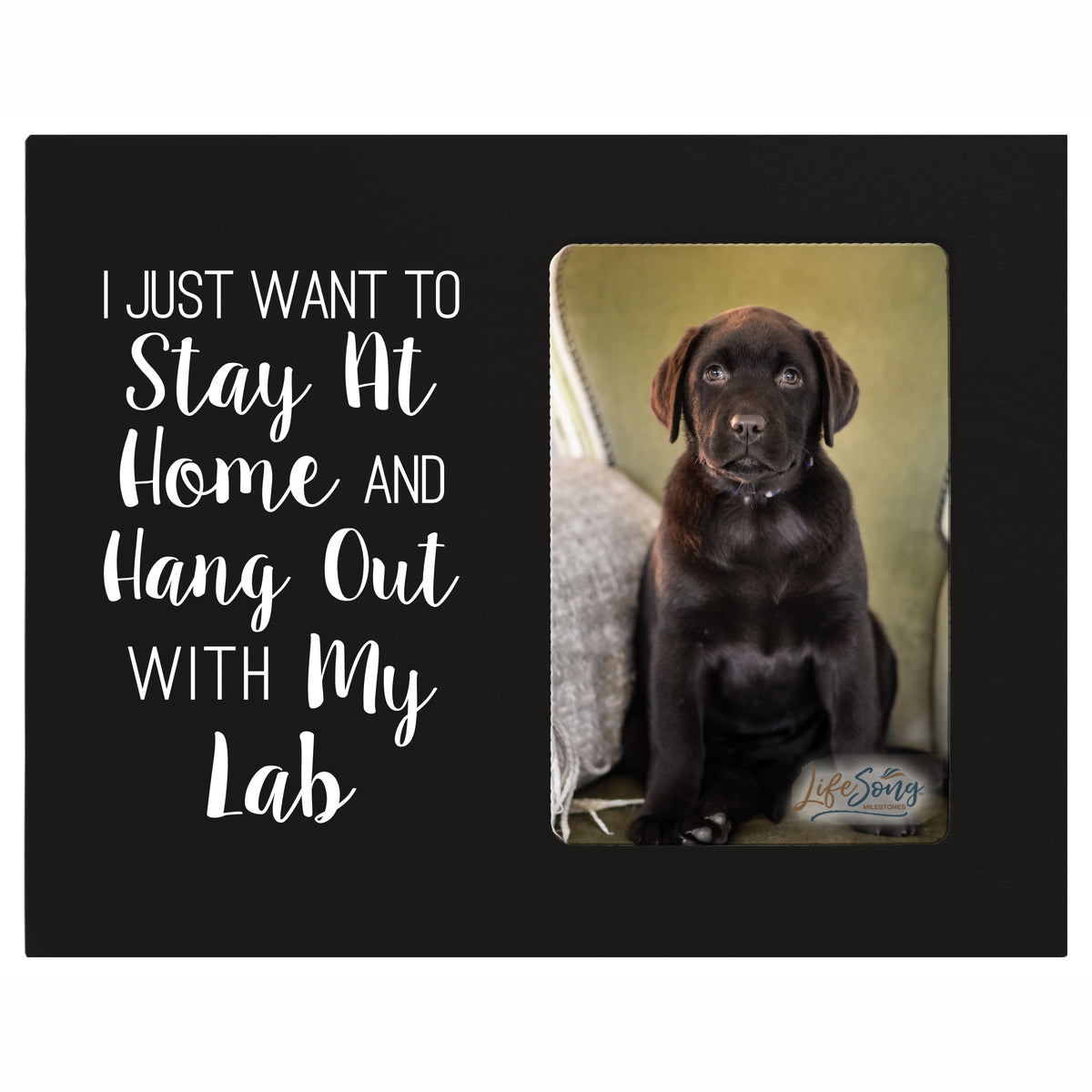 LifeSong Milestones Digitally Printed Pet Vertical Photo Frame Gift Ideas for Black Lab &amp; Dog Lovers - Golden Lab Owner Frame Gift 8”x10” Holds 4”x6” Photo