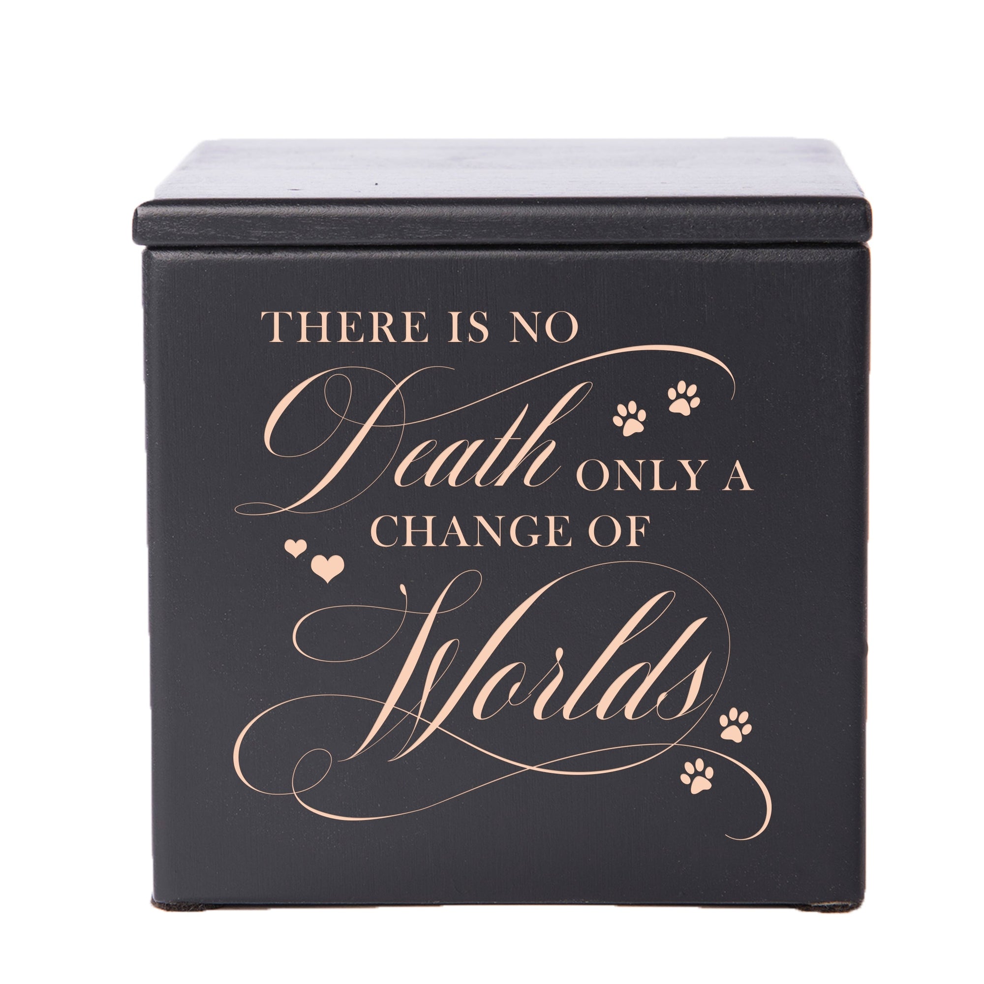 Pet Memorial Keepsake Cremation Urn Box for Dog or Cat - There Is No Death