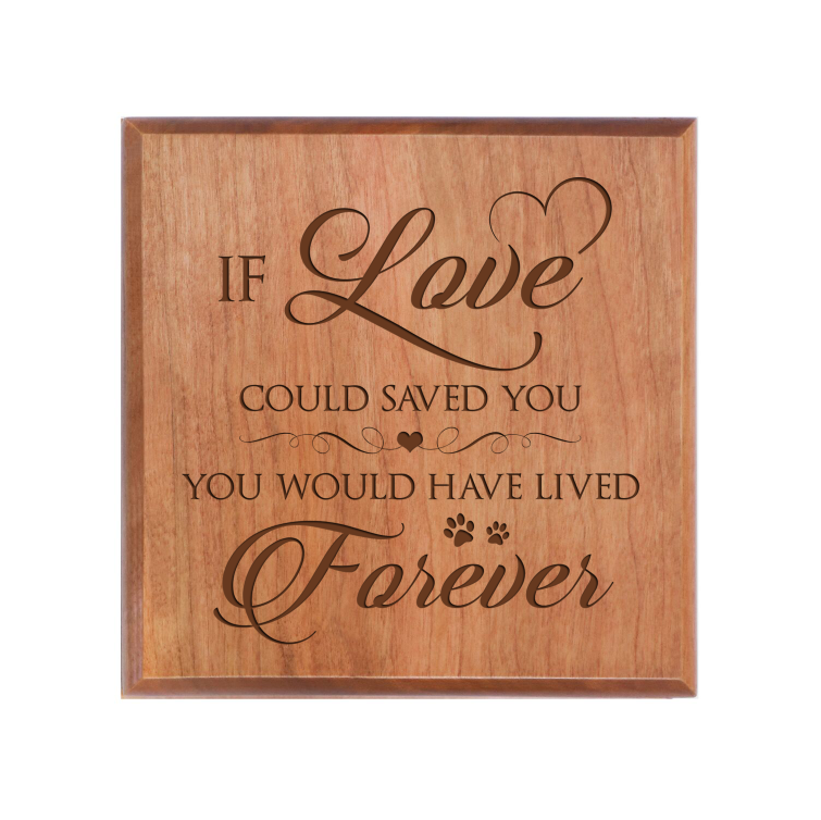 Pet Memorial Keepsake Urn Box for Dog or Cat - If Love Could Have Saved You