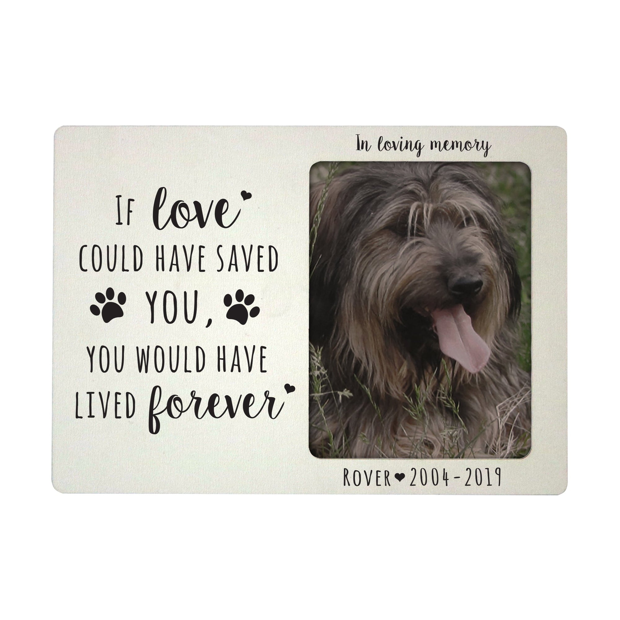 Pet Memorial Magnet Picture Frame - If Love Could Have Saved You