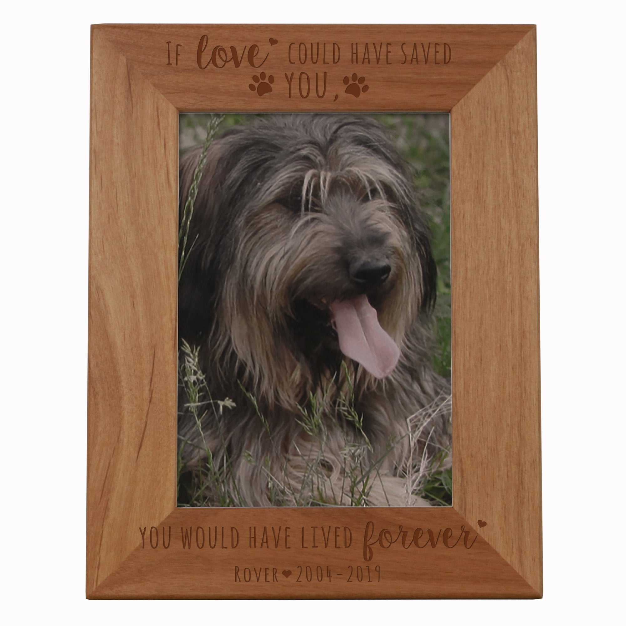 Pet Memorial Picture Frame - If Love Could Have Saved You