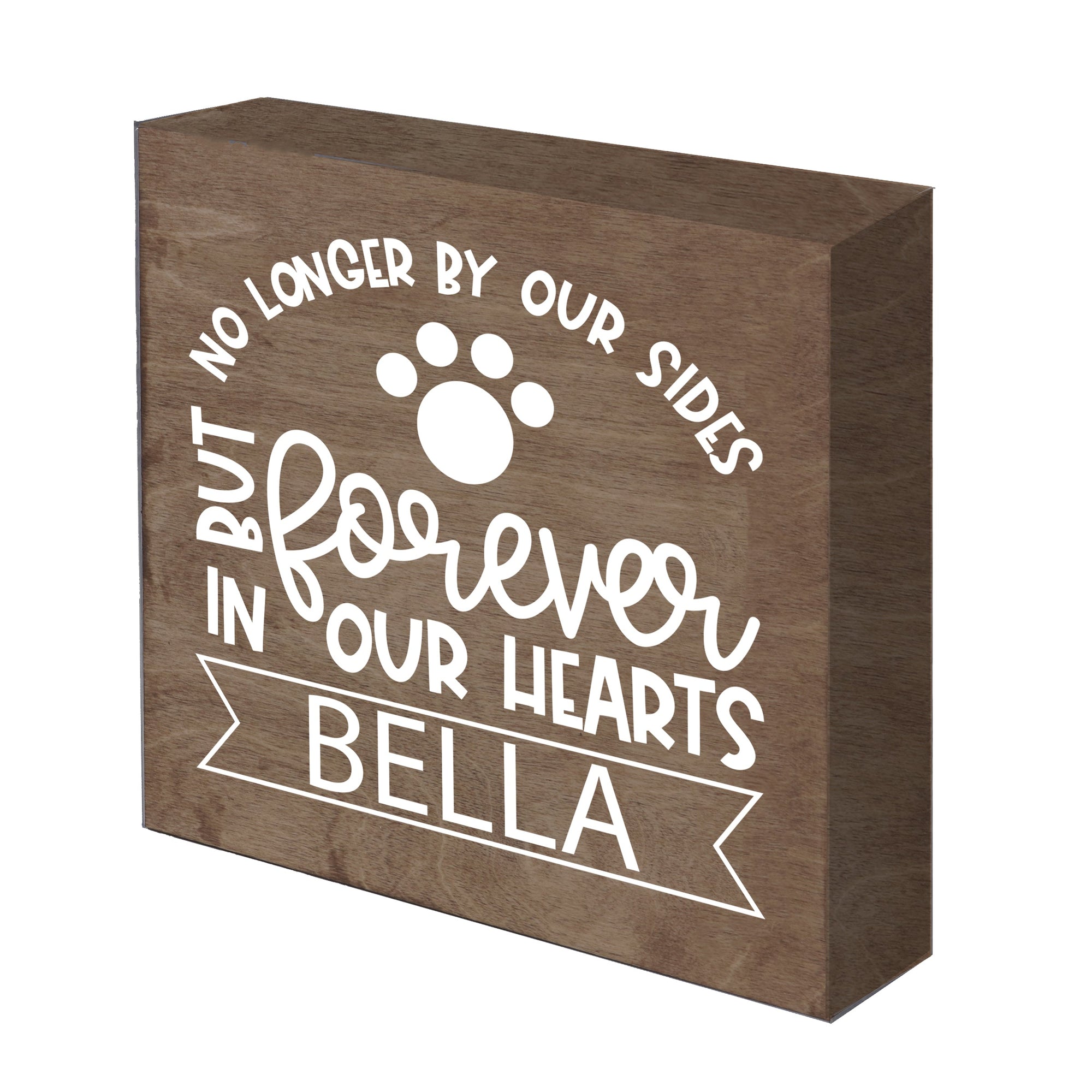 Pet Memorial Shadow Box Décor - No Longer By Our Sides