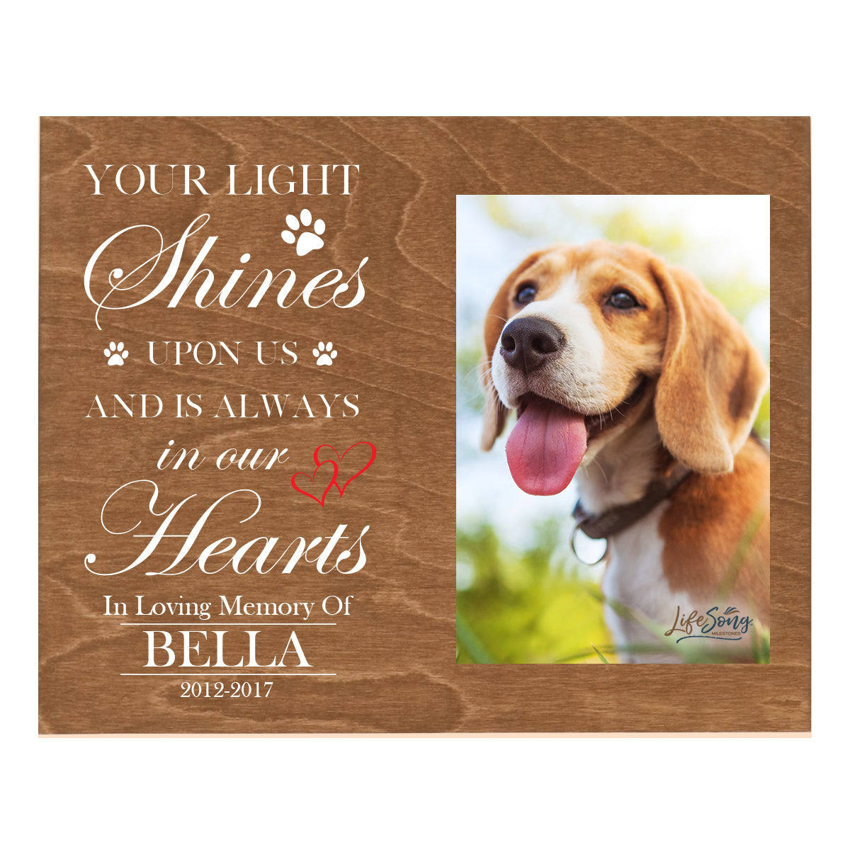 Pet Memorial Photo Wall Plaque Décor - Your Light Shines Upon Us