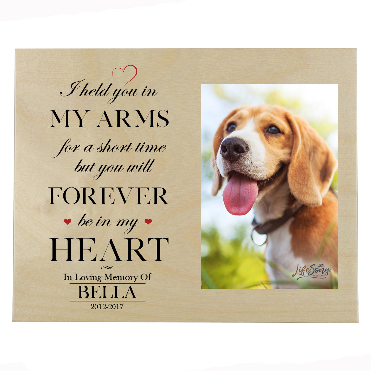 Pet Memorial Photo Wall Plaque Décor - I Held You In My Arms