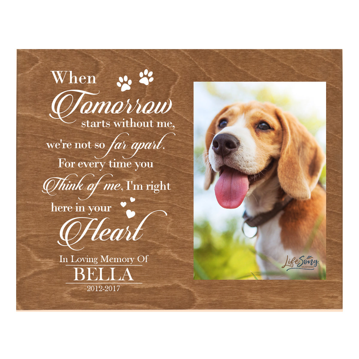 Pet Memorial Photo Wall Plaque Décor - When Tomorrow Starts Without Me
