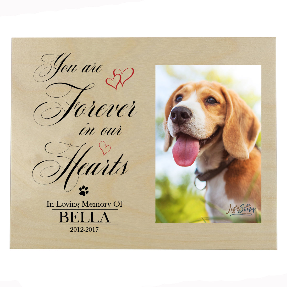Pet Memorial Photo Wall Plaque Décor - You Are Forever In Our Hearts