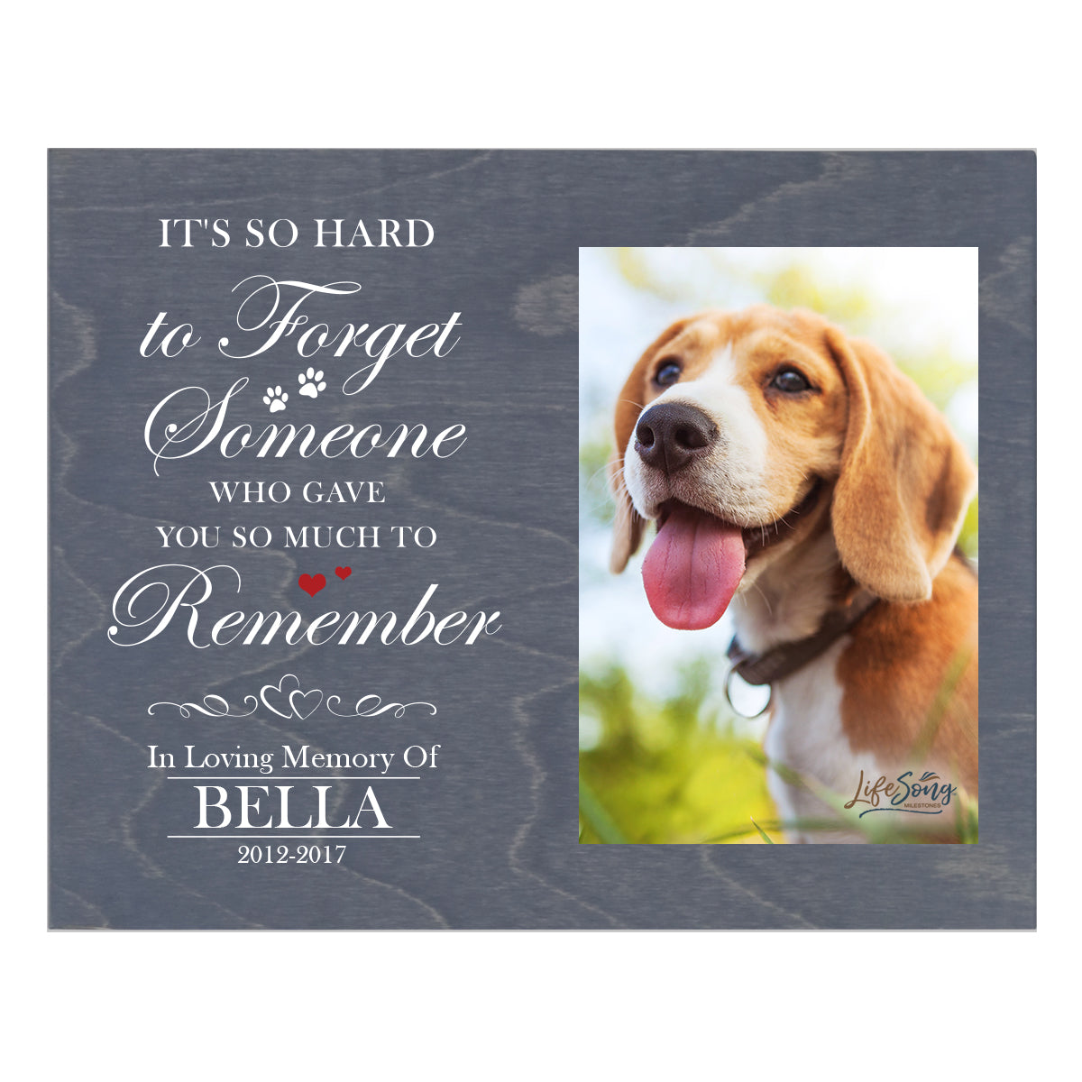Pet Memorial Photo Wall Plaque Décor - It's So Hard To Forget