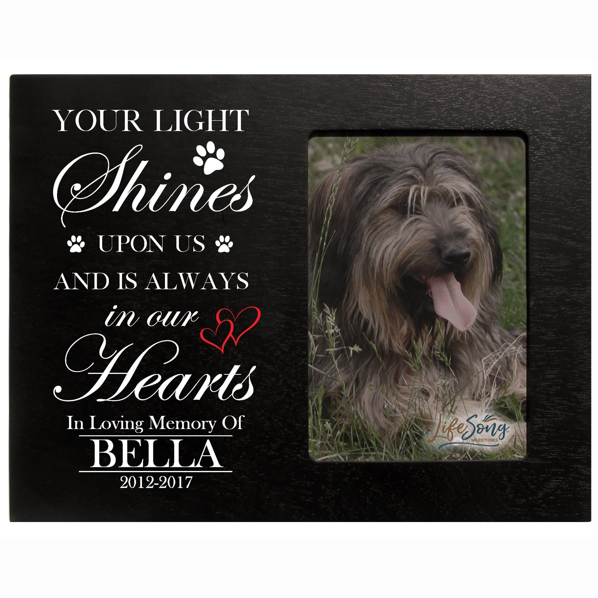8x10 Black Pet Memorial Picture Frame with the phrase "Your Light Shines Upon Us"