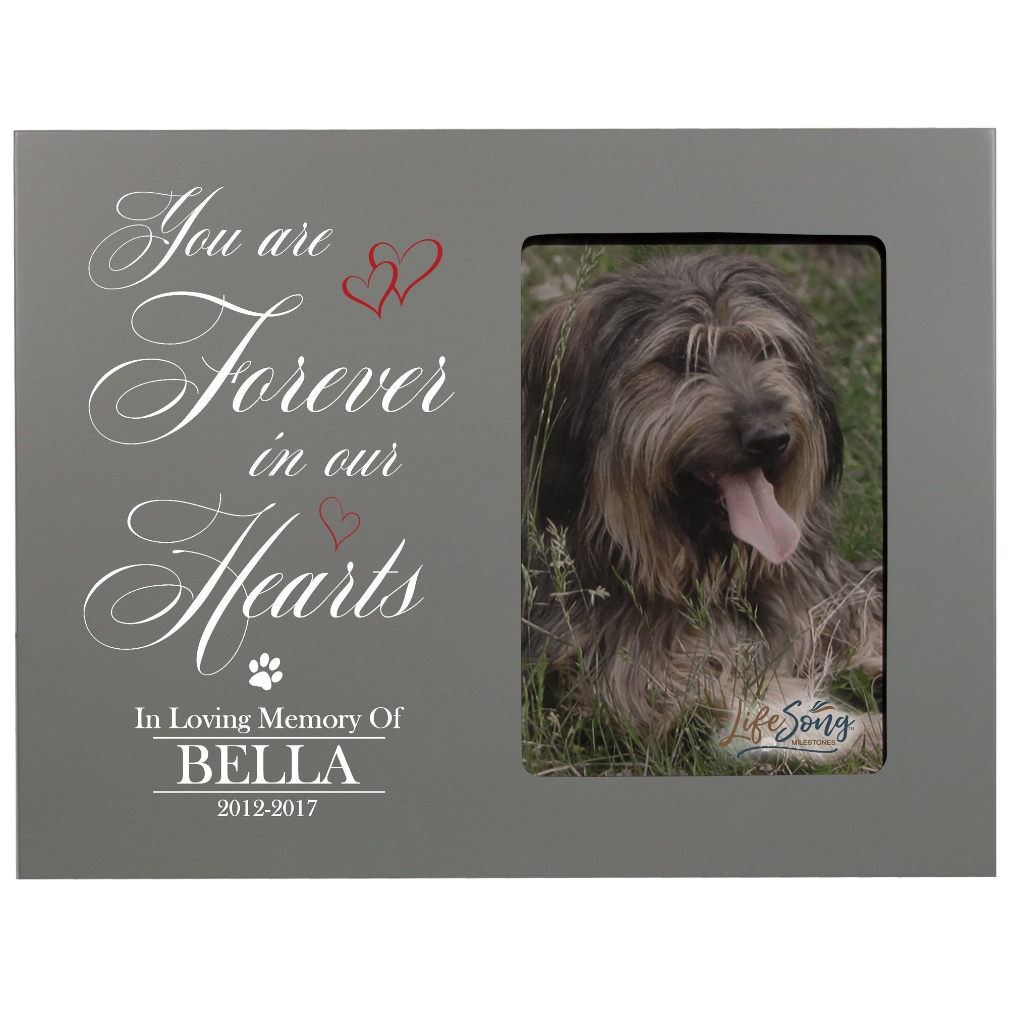 8x10 Grey Pet Memorial Picture Frame with the phrase "You Are Forever In Our Hearts"