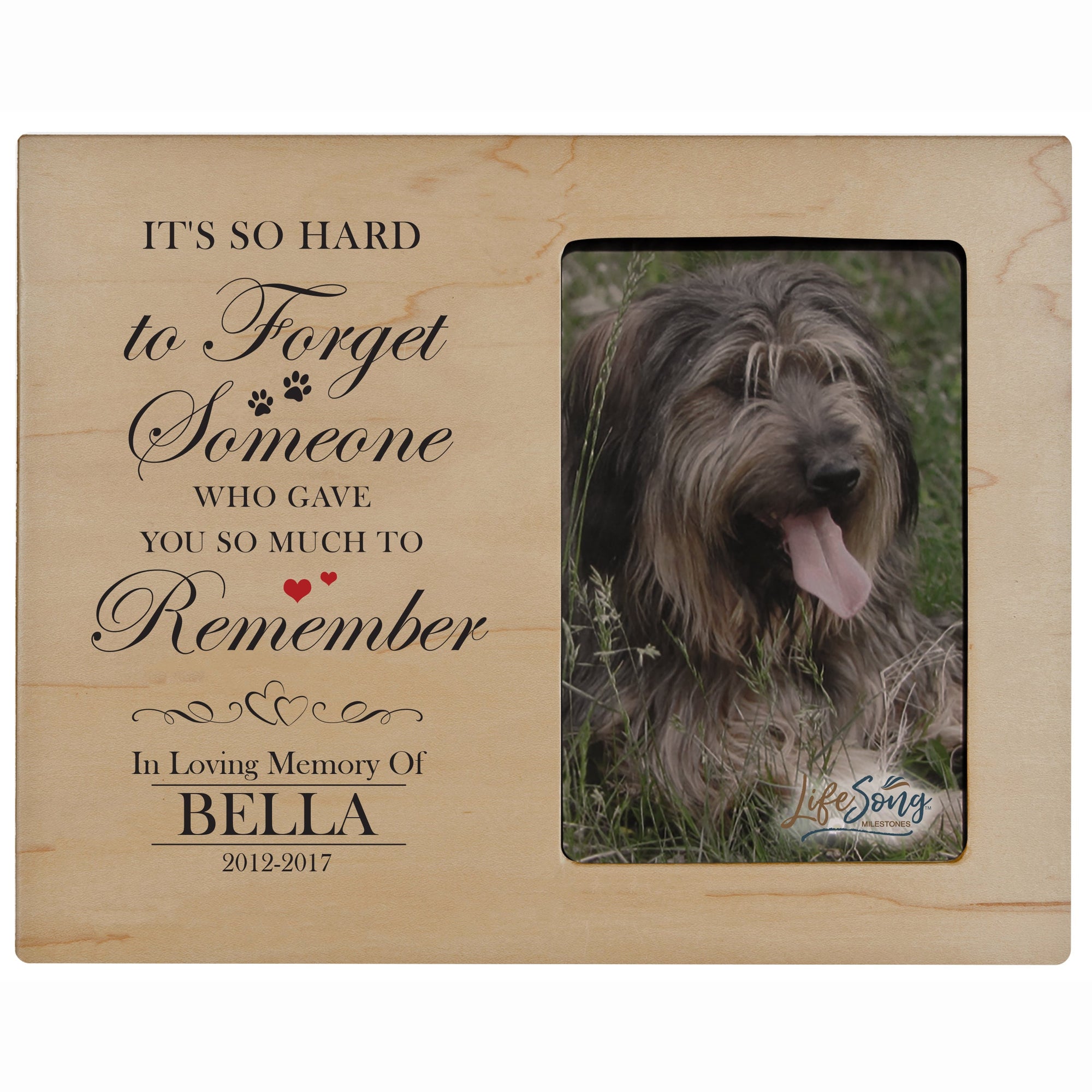 Pet Memorial Picture Frame - It's So Hard To Forget Someone