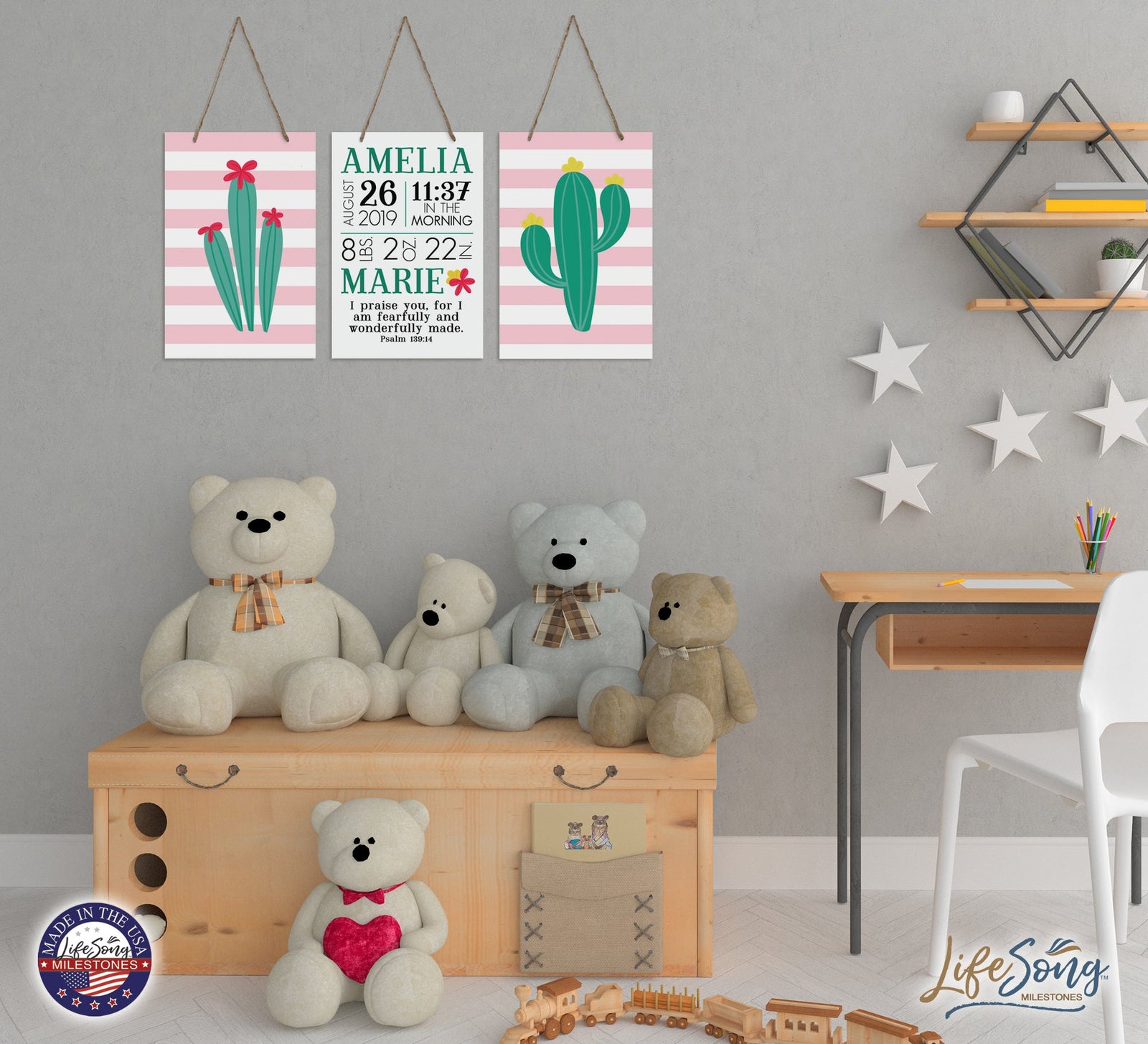 Childrens Wall Decor For Boys and Girls Bedroom - Cactus - LifeSong Milestones