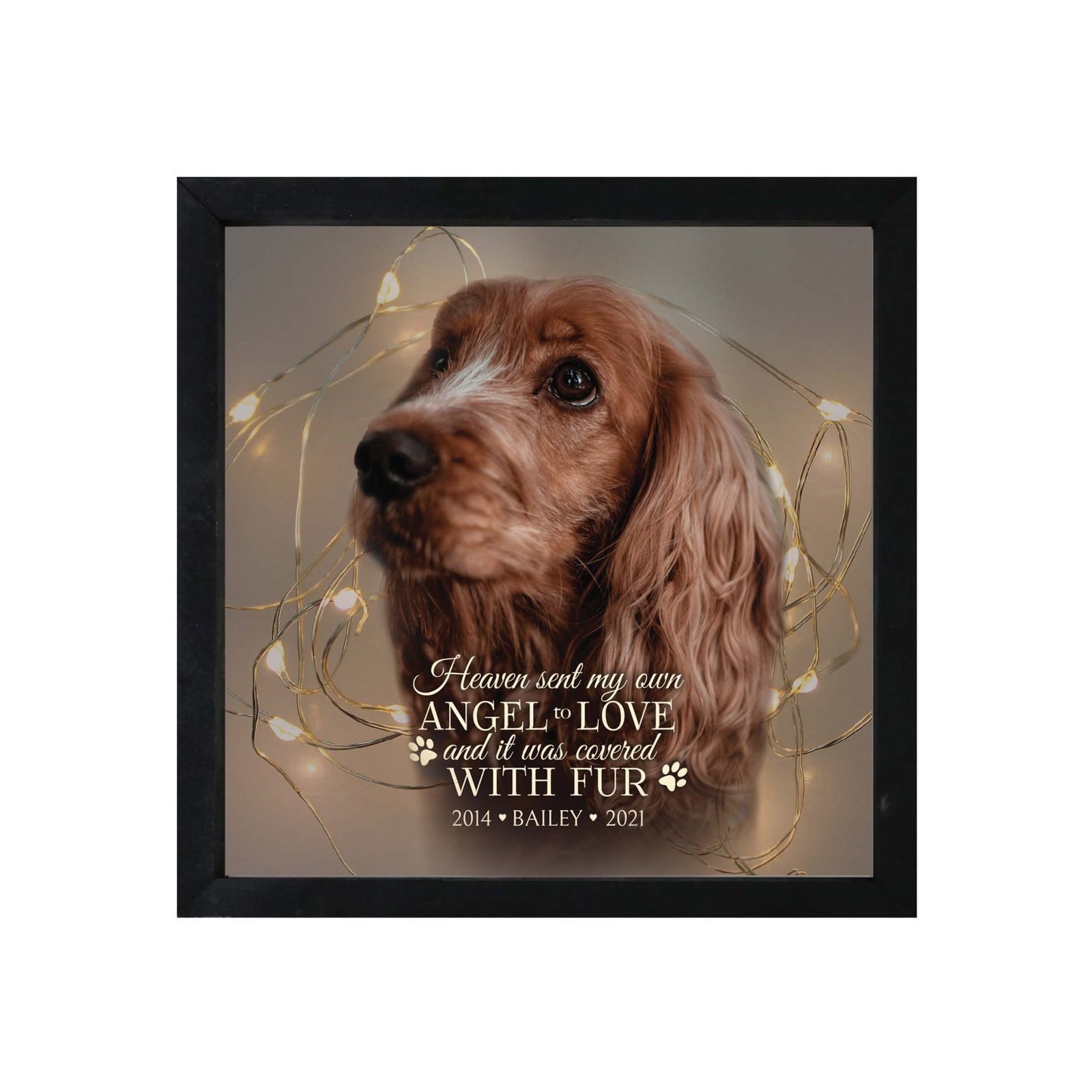 Custom Pet Memorial Framed Shadow Box Wall Décor for the Loss of Beloved Pet - Heaven Sent My Own - LifeSong Milestones