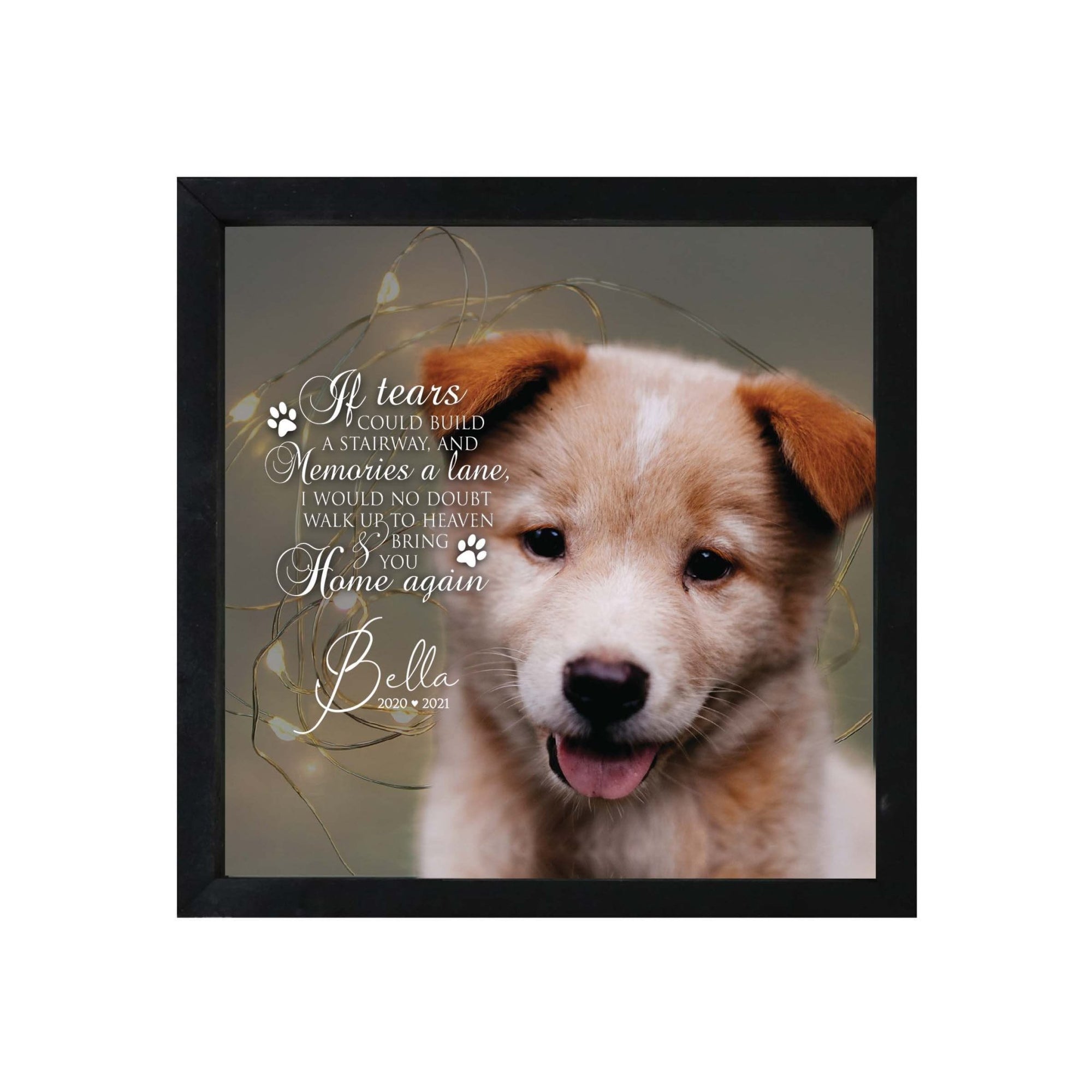 Custom Pet Memorial Framed Shadow Box Wall Décor for the Loss of Beloved Pet - If Tears Could Build - LifeSong Milestones