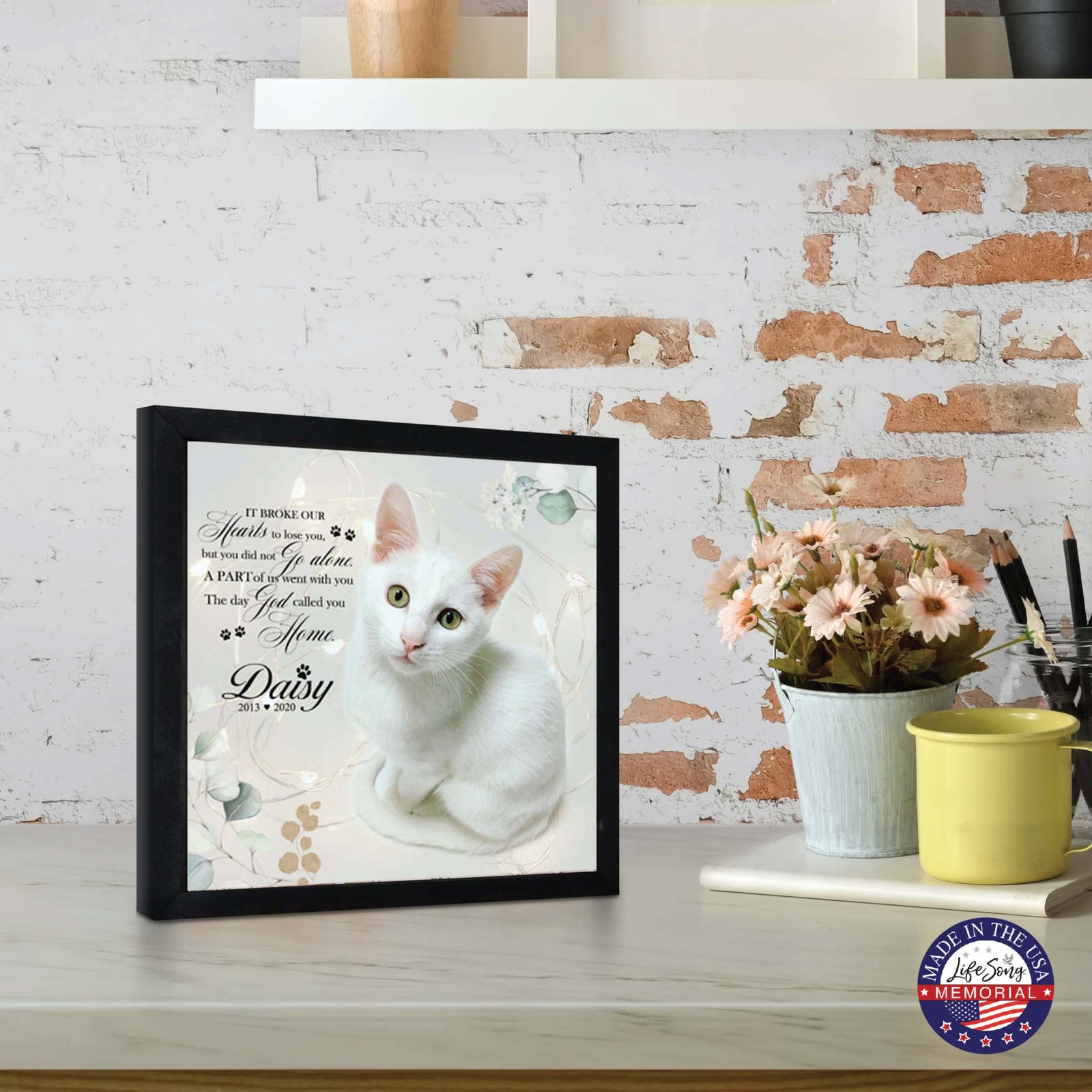 Custom Pet Memorial Framed Shadow Box Wall Décor for the Loss of Beloved Pet - It Broke Our Hearts - LifeSong Milestones