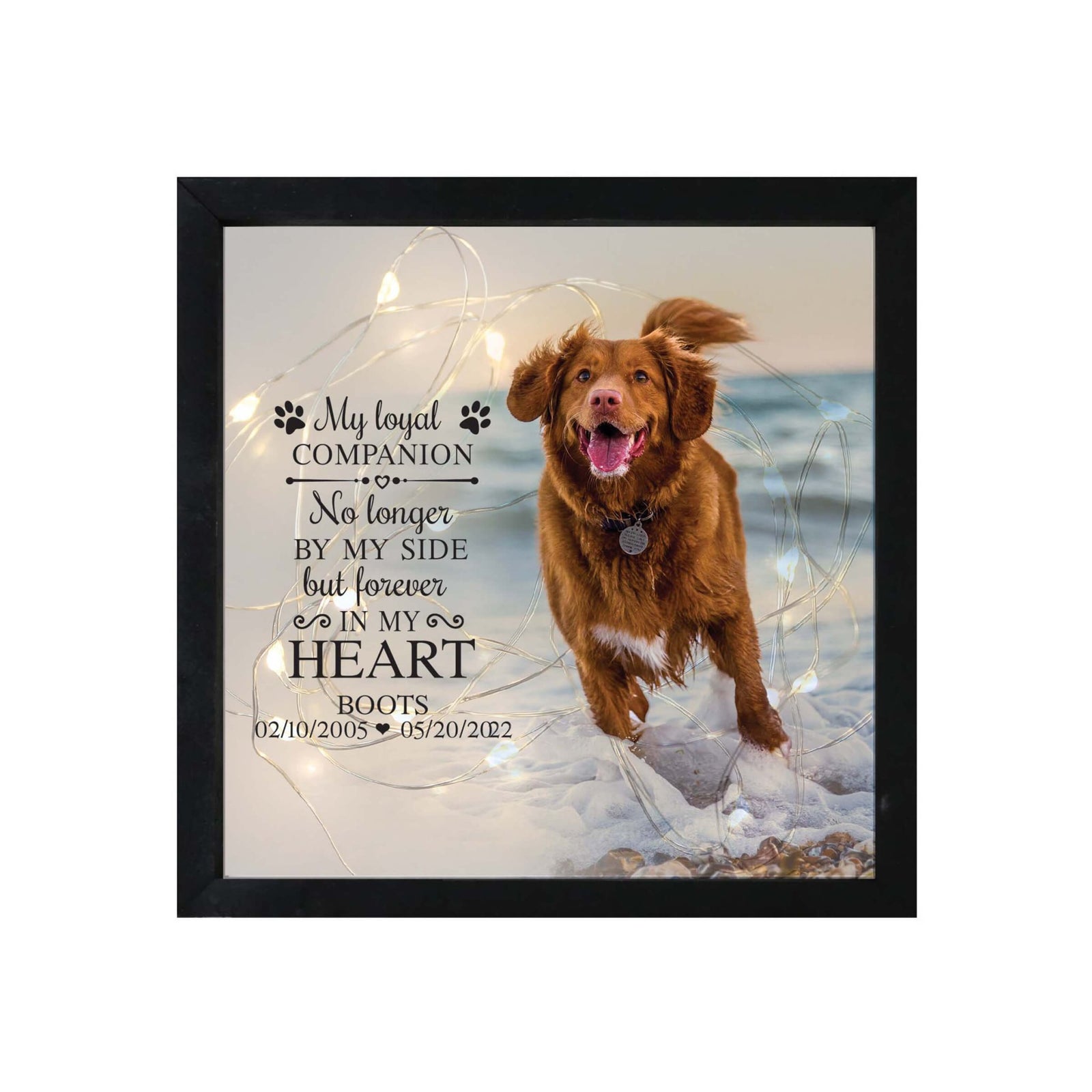 Custom Pet Memorial Framed Shadow Box Wall Décor for the Loss of Beloved Pet - My Loyal Companion - LifeSong Milestones