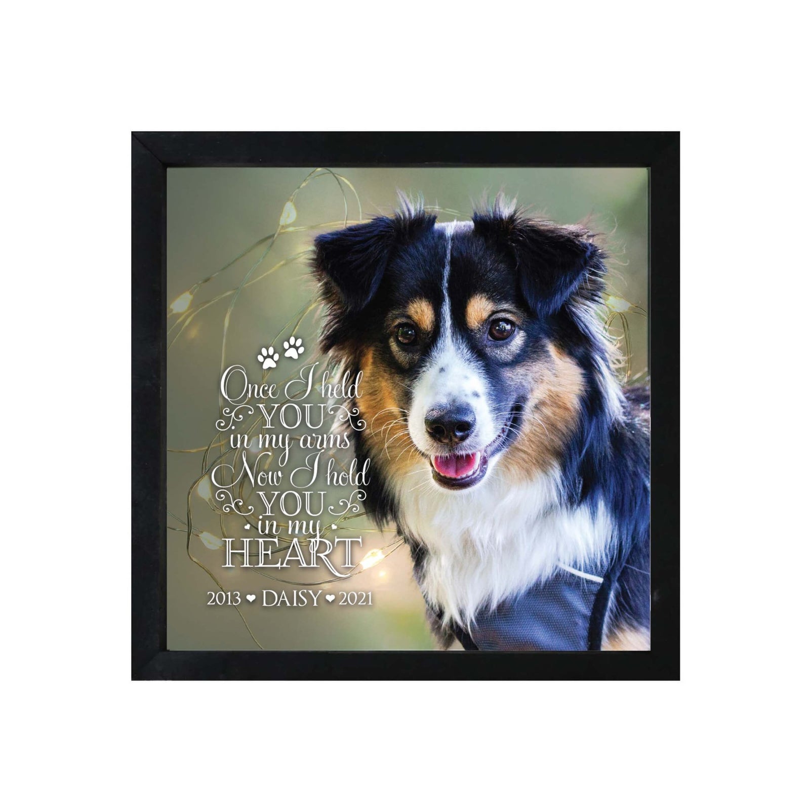 Custom Pet Memorial Framed Shadow Box Wall Décor for the Loss of Beloved Pet - Once I Held You - LifeSong Milestones
