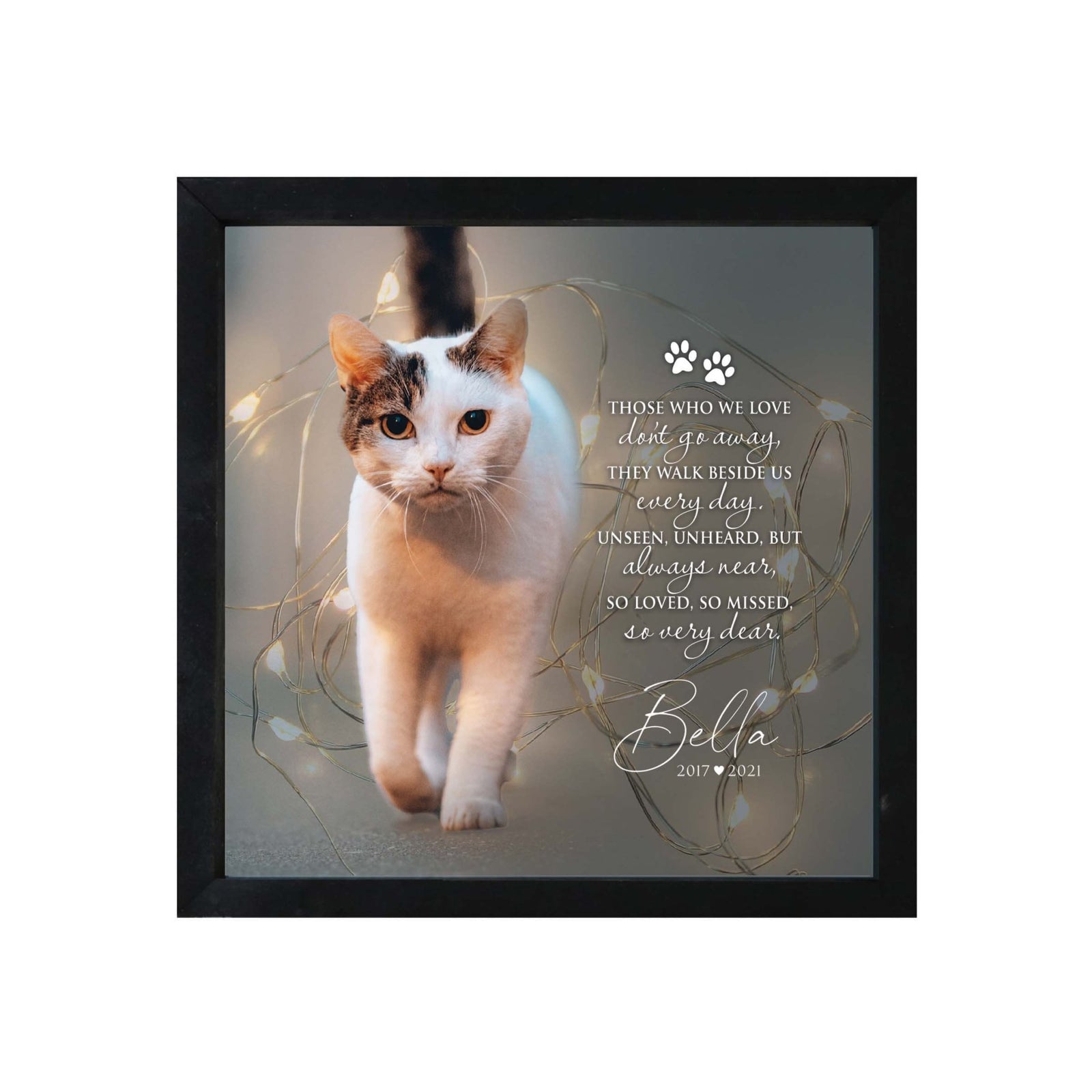 Custom Pet Memorial Framed Shadow Box Wall Décor for the Loss of Beloved Pet - Those Who We Love - LifeSong Milestones