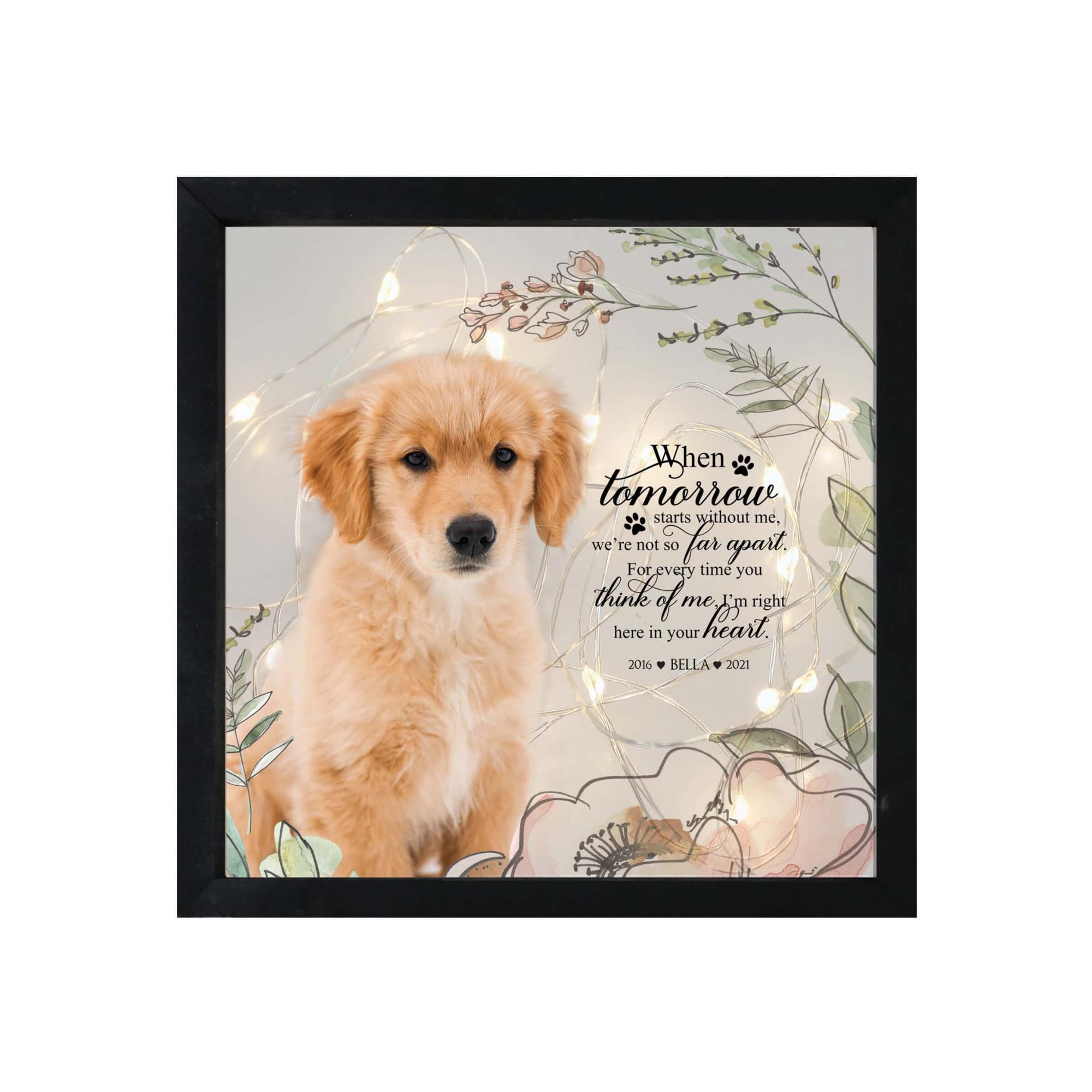 Personalized Pet Memorial Shadow Box Wall Decor Keepsake