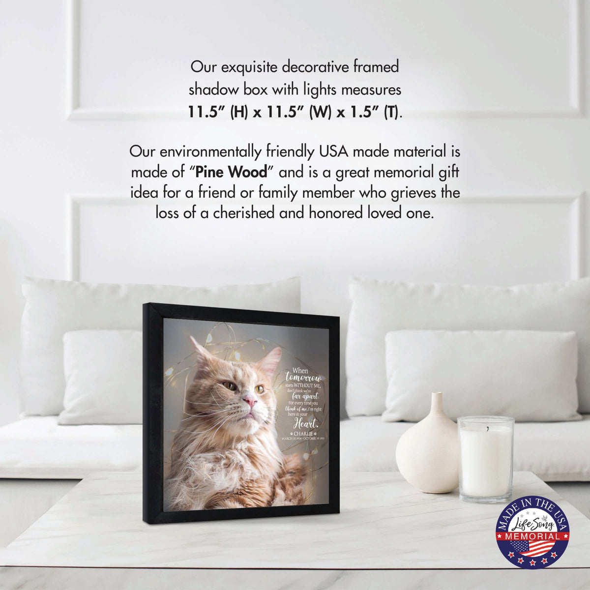 Custom Pet Memorial Framed Shadow Box Wall Décor for the Loss of Beloved Pet - When Tomorrow Starts - LifeSong Milestones