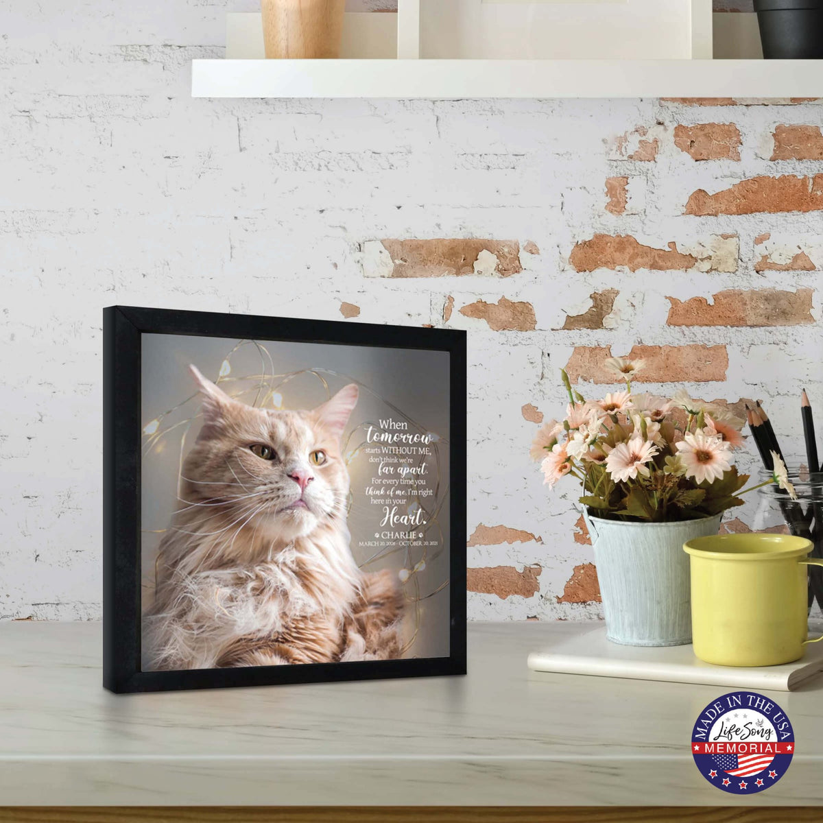 Custom Pet Memorial Framed Shadow Box Wall Décor for the Loss of Beloved Pet - When Tomorrow Starts - LifeSong Milestones