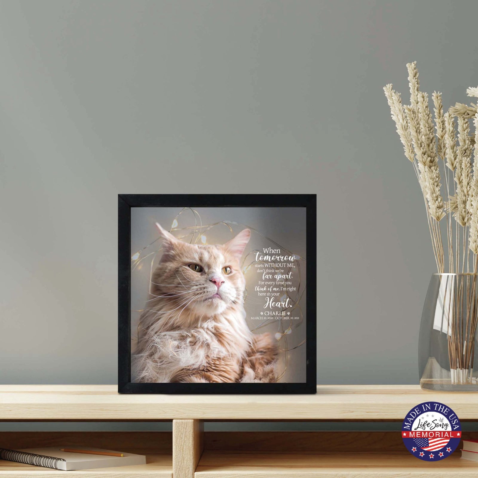 Custom Pet Memorial Framed Shadow Box Wall Décor for the Loss of Beloved Pet - When Tomorrow Starts - LifeSong Milestones