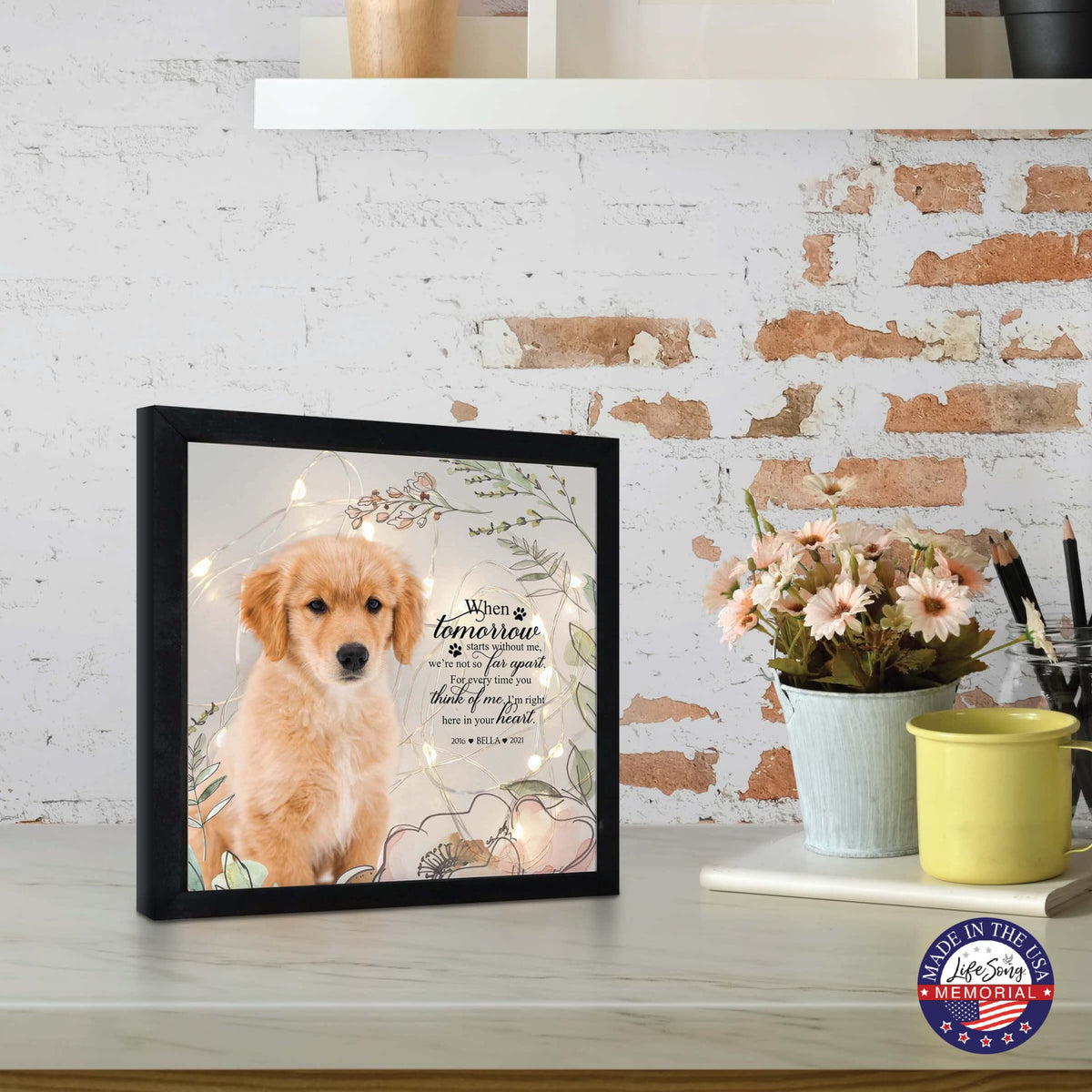 Custom Pet Memorial Framed Shadow Box Wall Décor for the Loss of Beloved Pet - When Tomorrow Starts - LifeSong Milestones