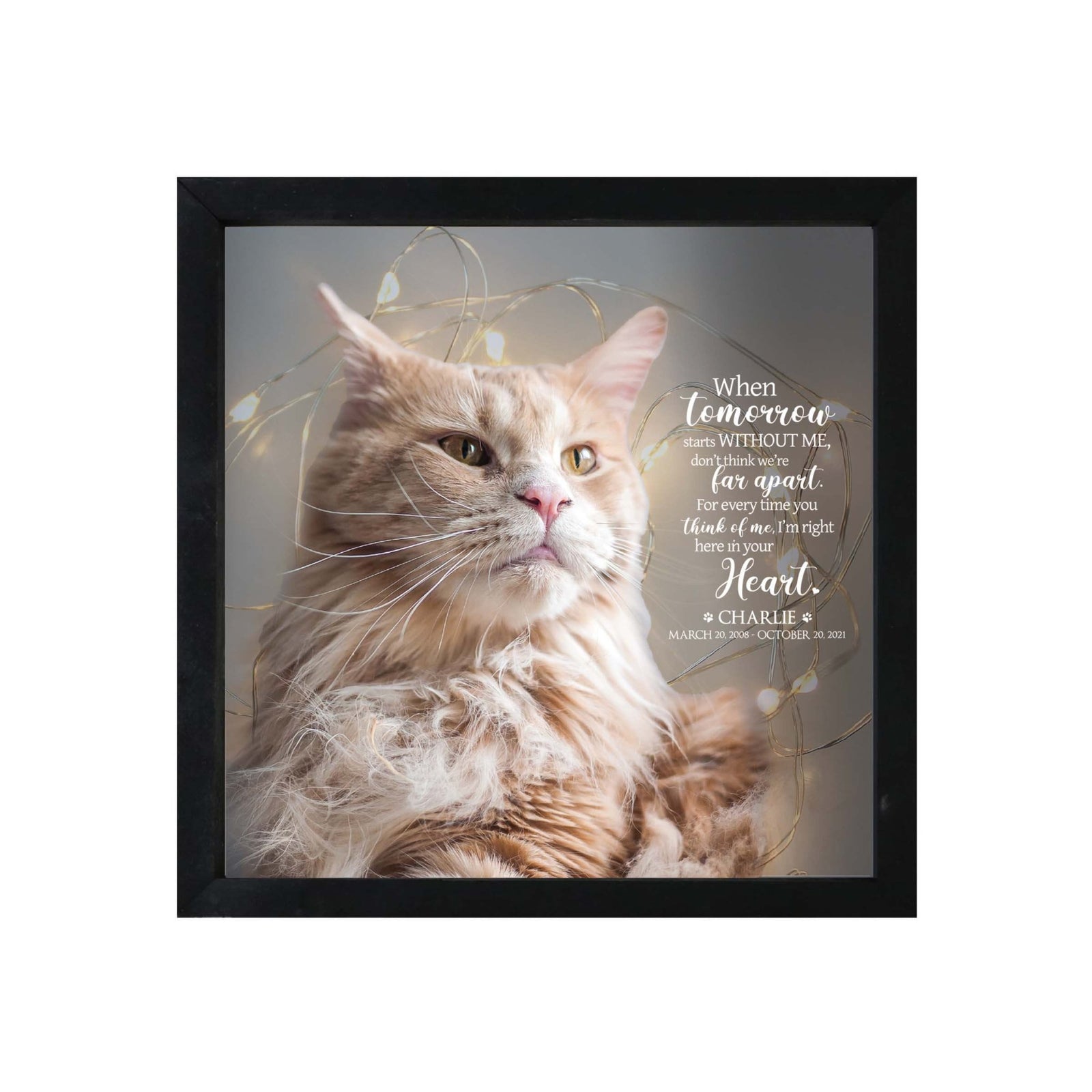 Custom Pet Memorial Framed Shadow Box Wall Décor for the Loss of Beloved Pet - When Tomorrow Starts - LifeSong Milestones
